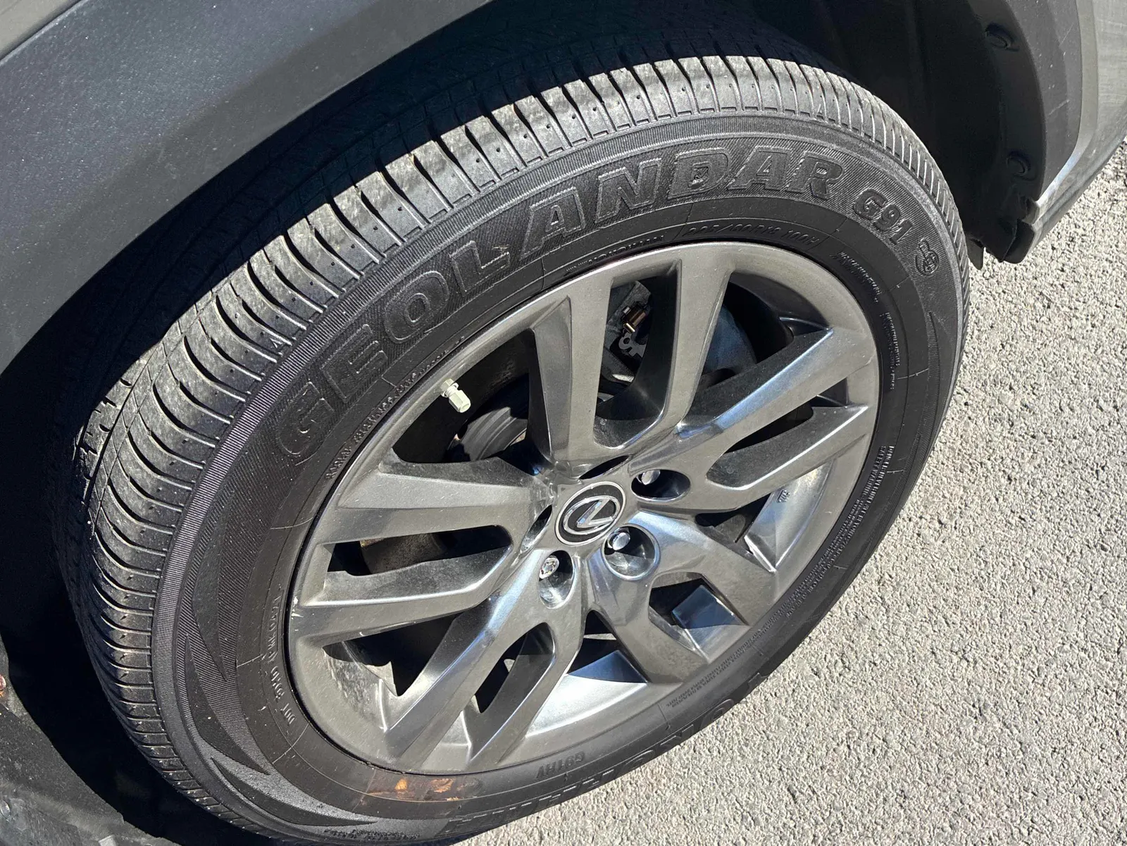 Tire