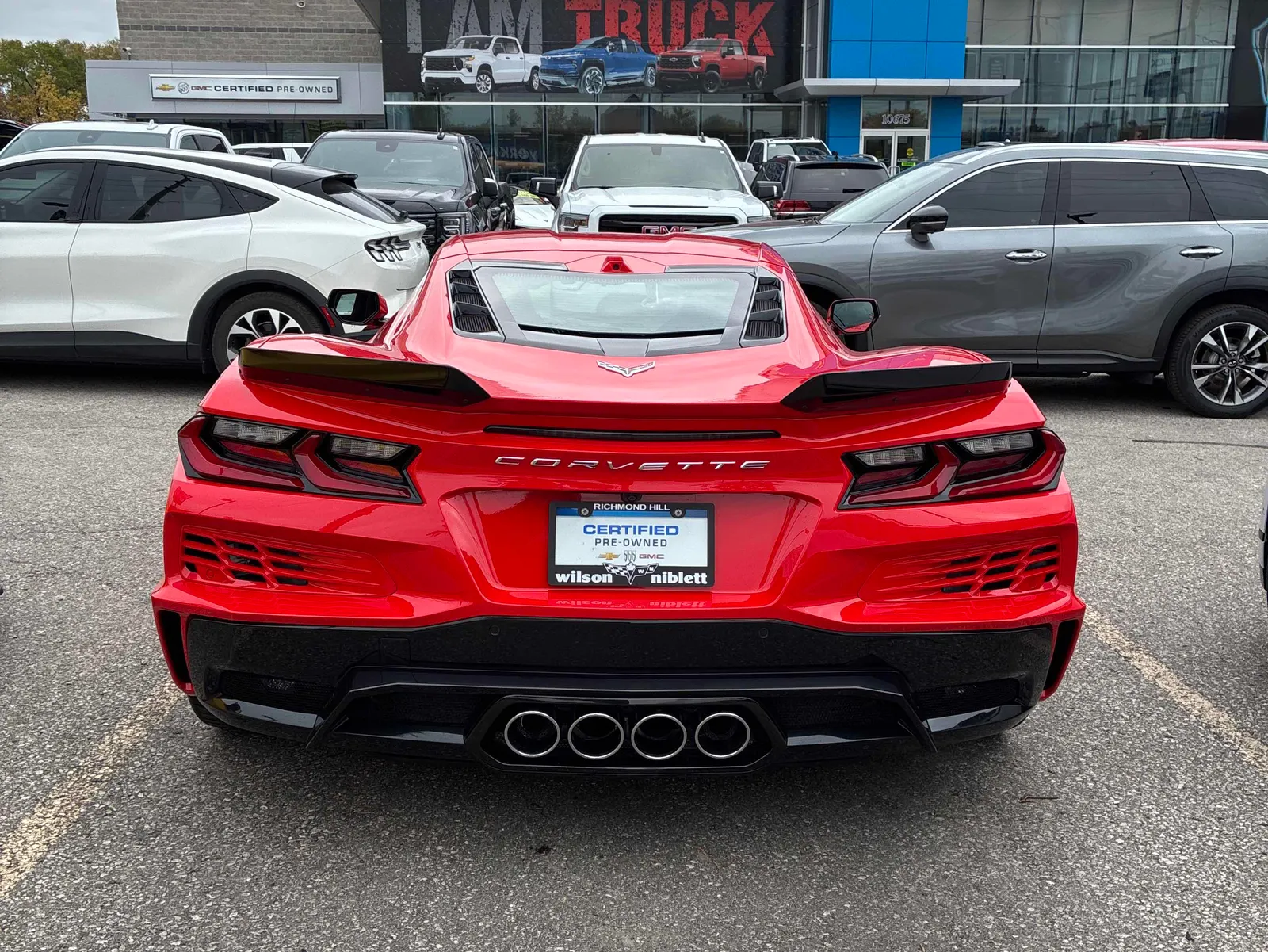 Back