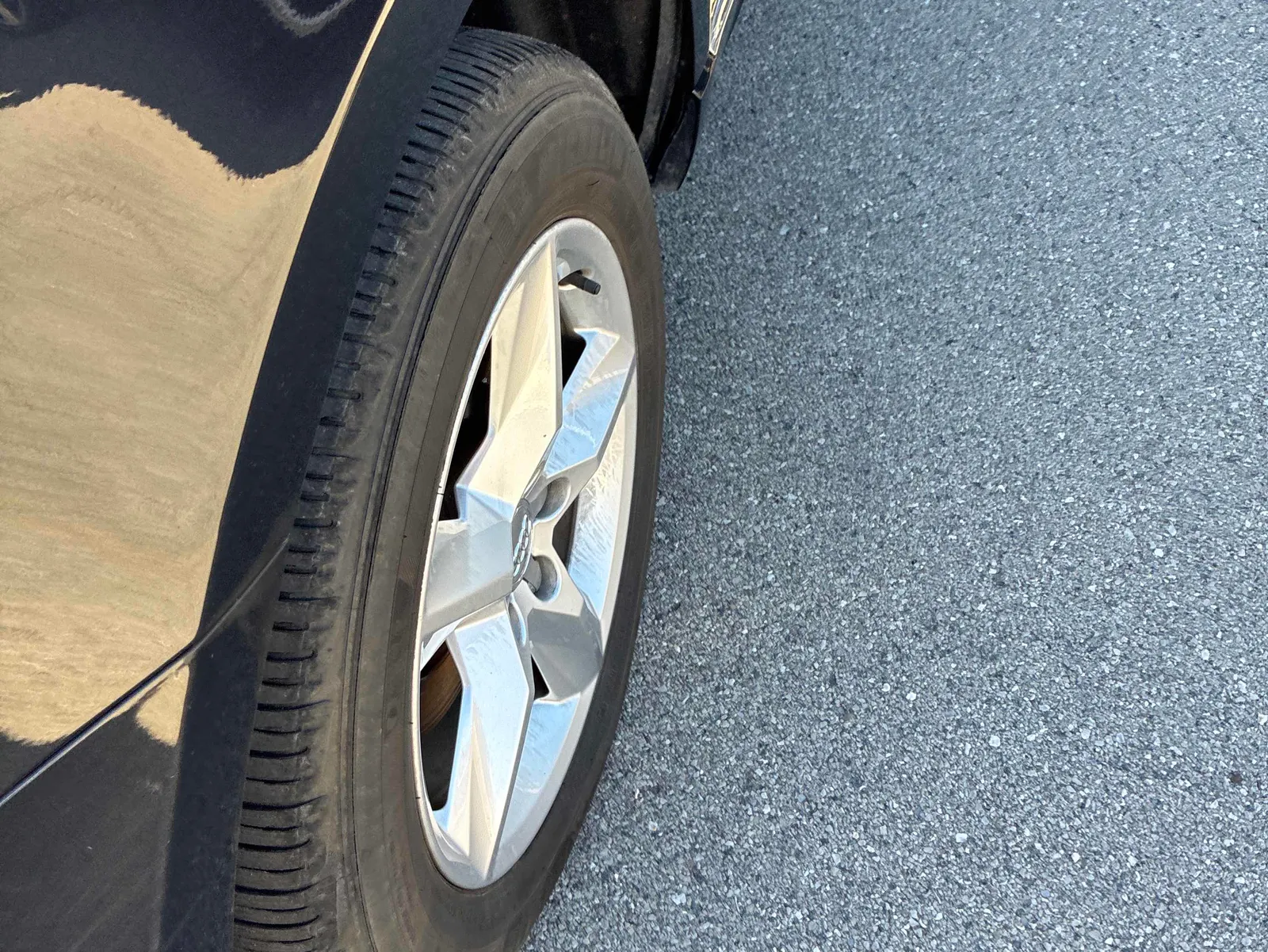 Additional Photo