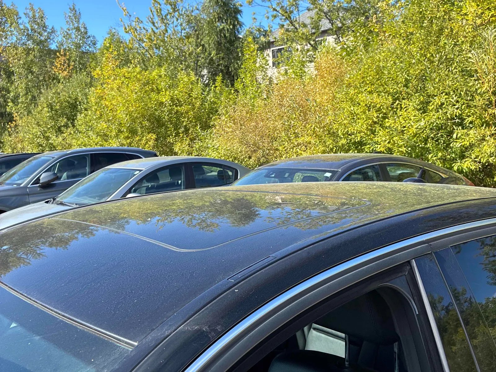 Additional Photo