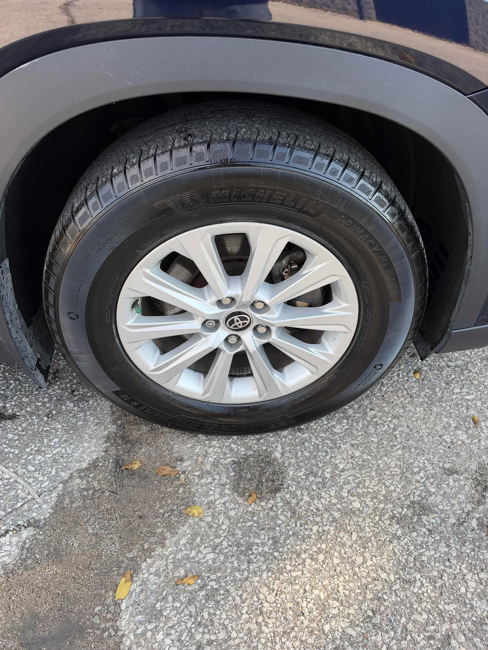Tire