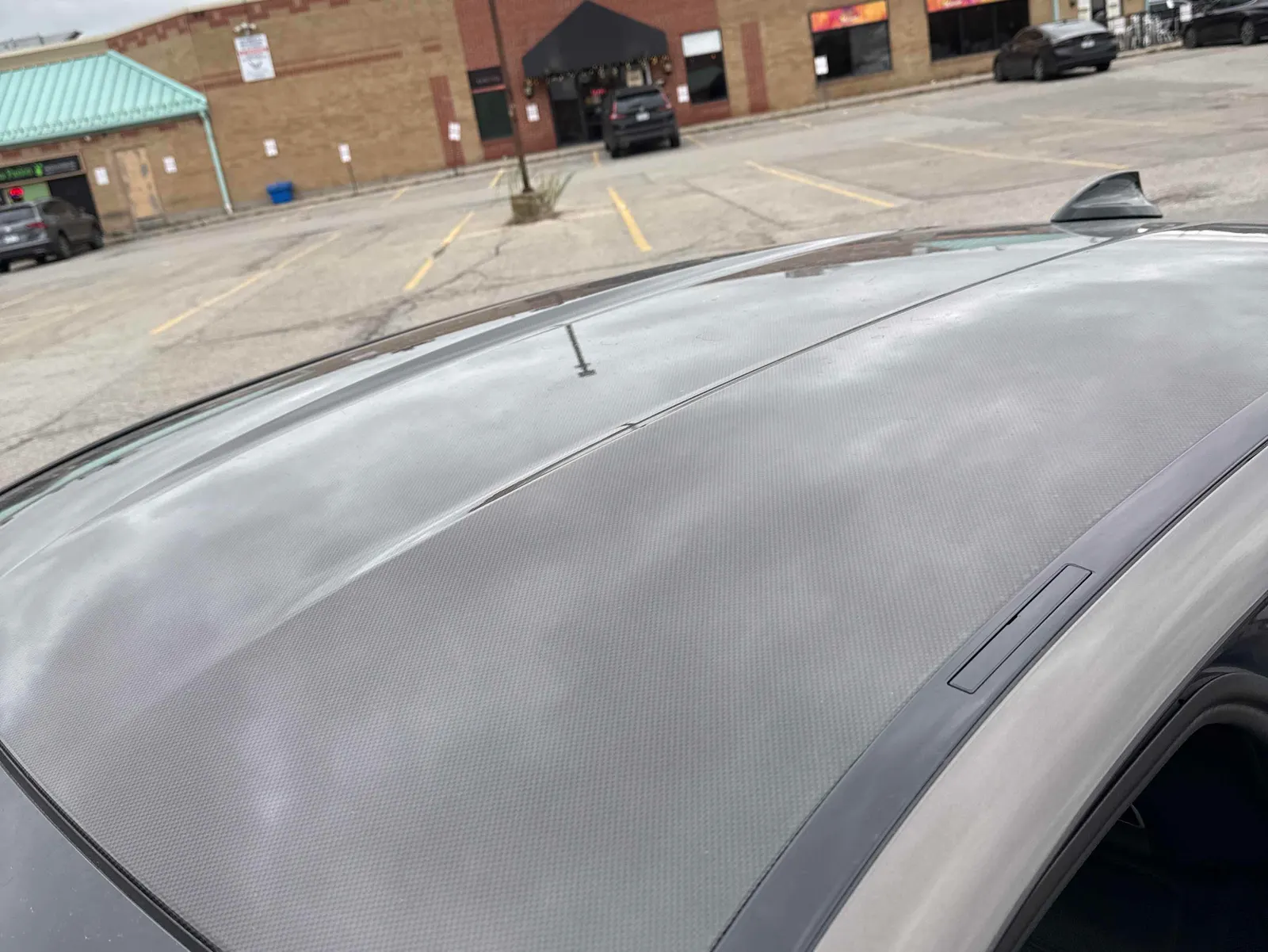 Additional Photo