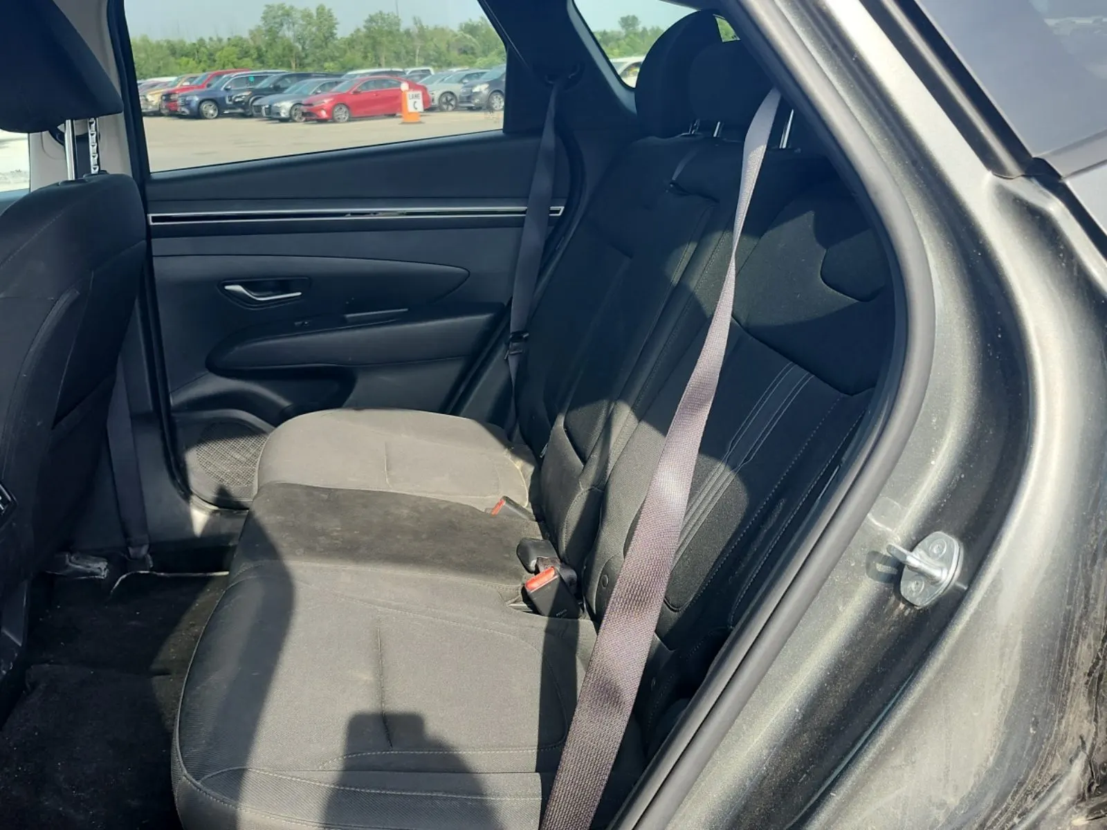 Rear Interior Photo