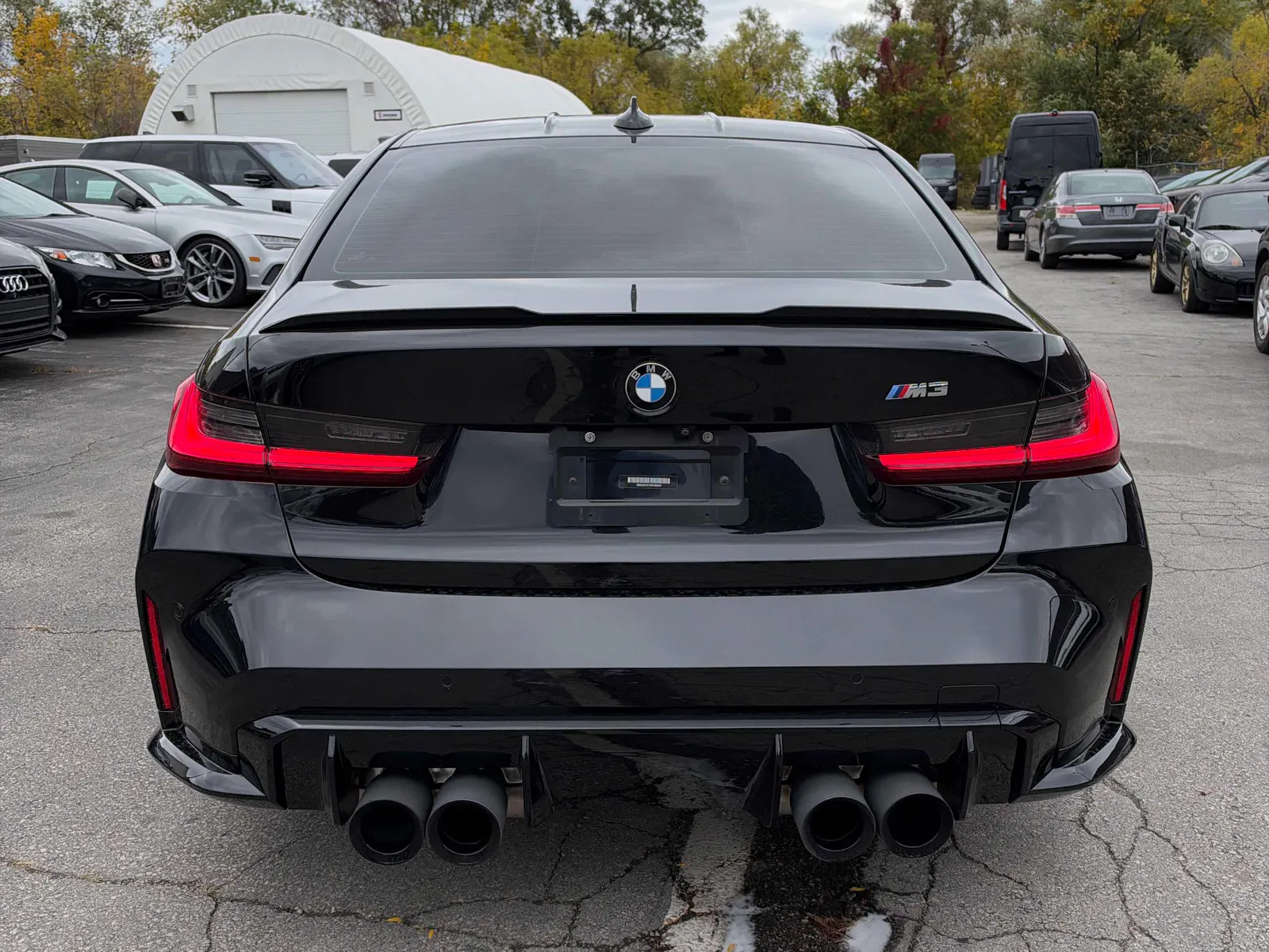 Back