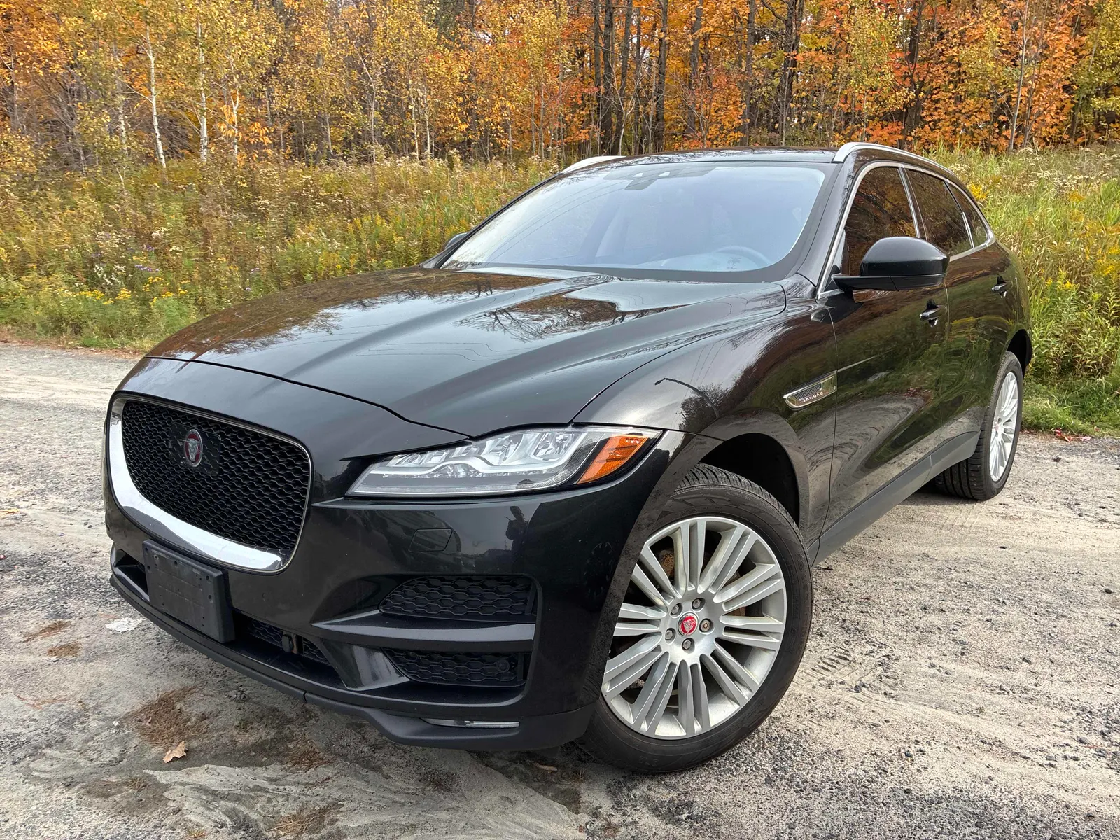 2019 Jaguar F-PACE