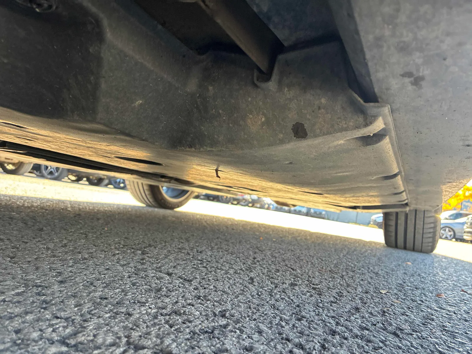 Additional Photo