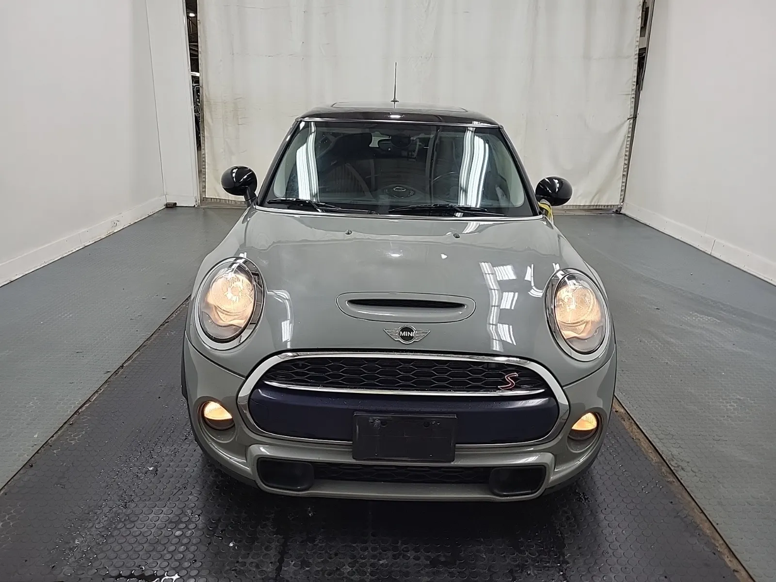 Full Front Photo