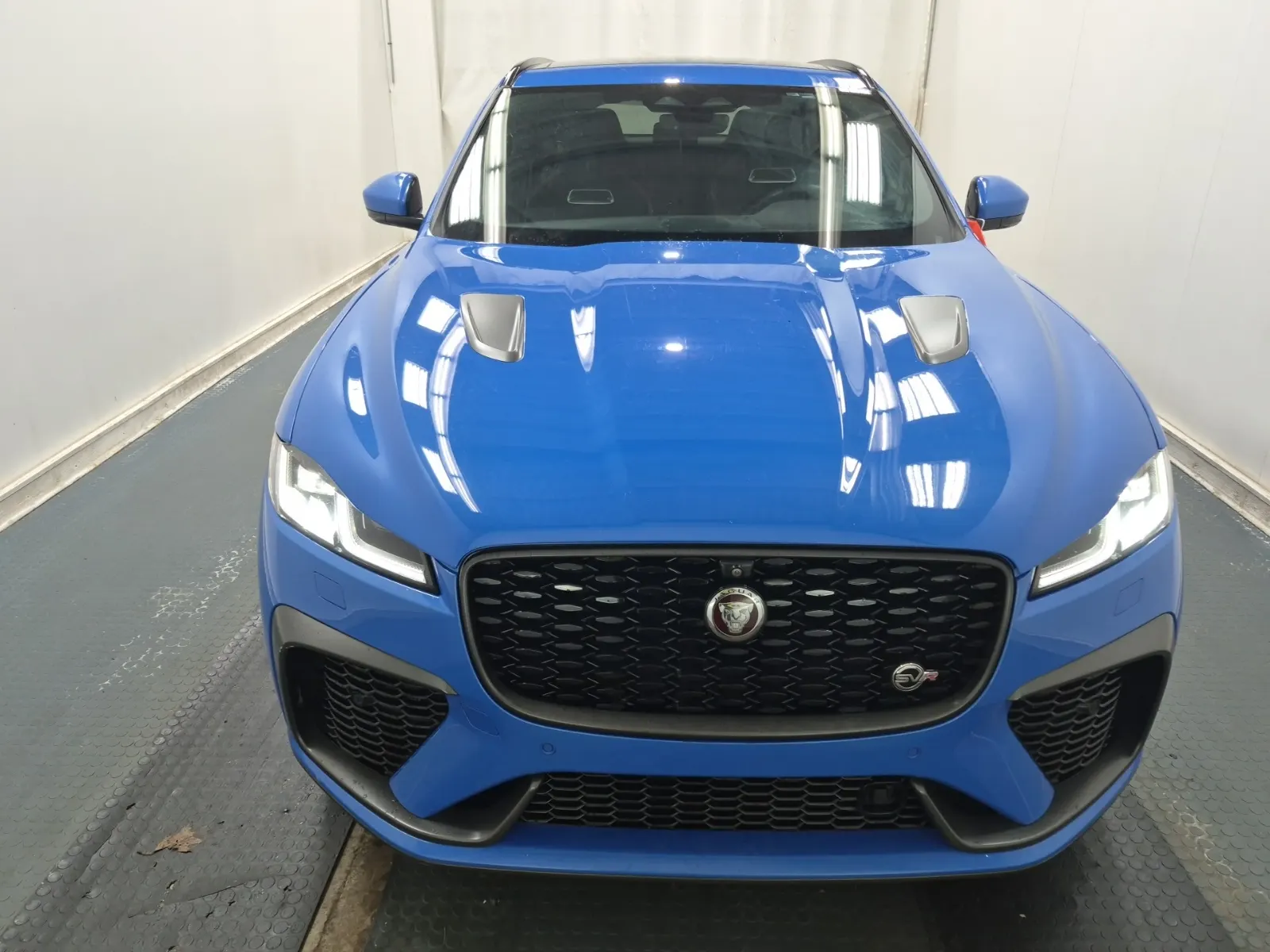 Full Front Photo