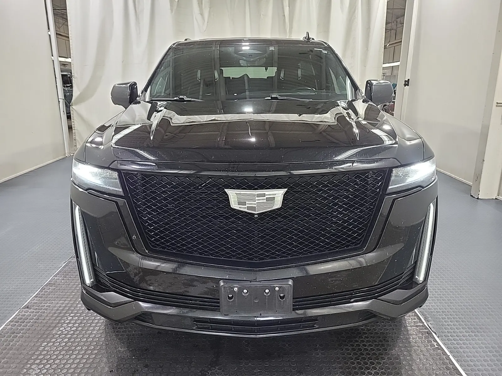 Full Front Photo