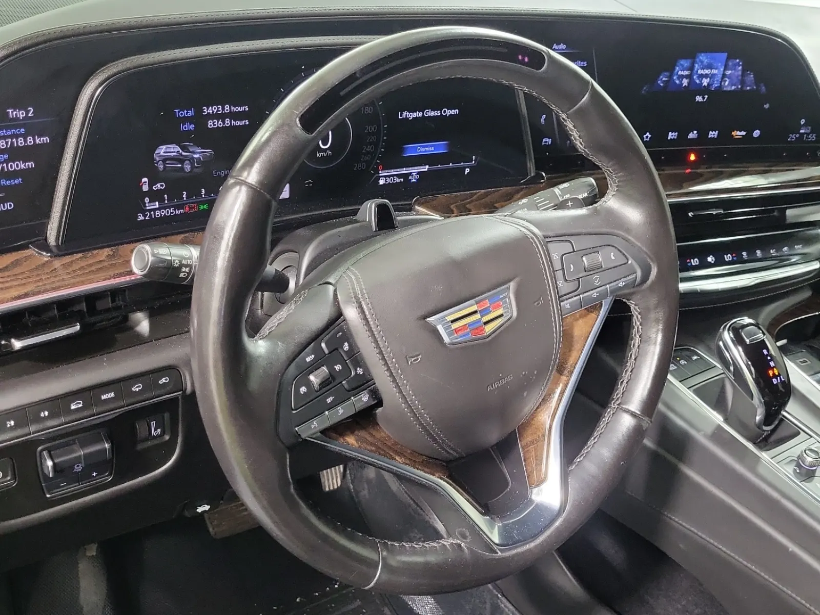 Steering Wheel