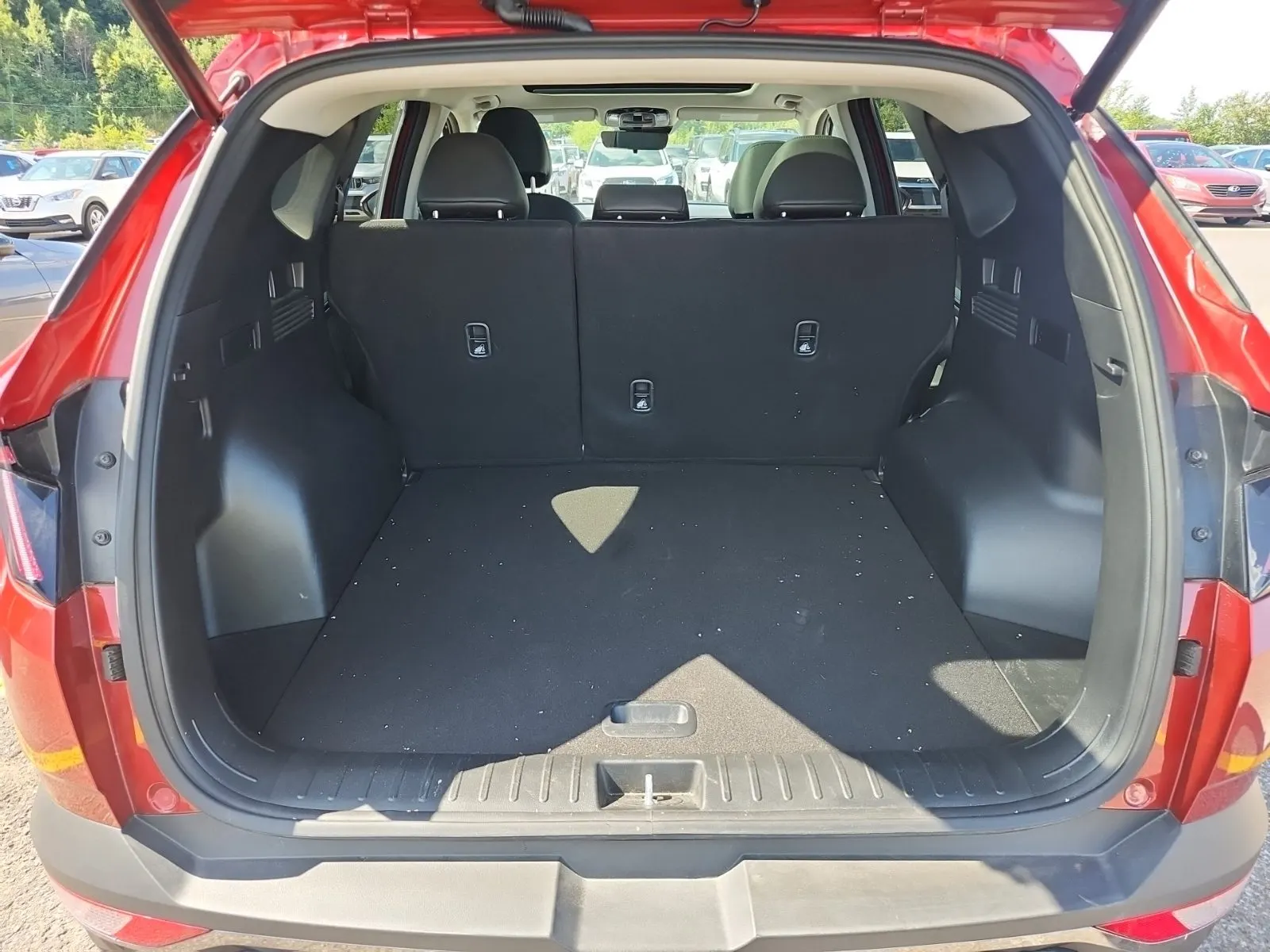 Cargo Area Photo