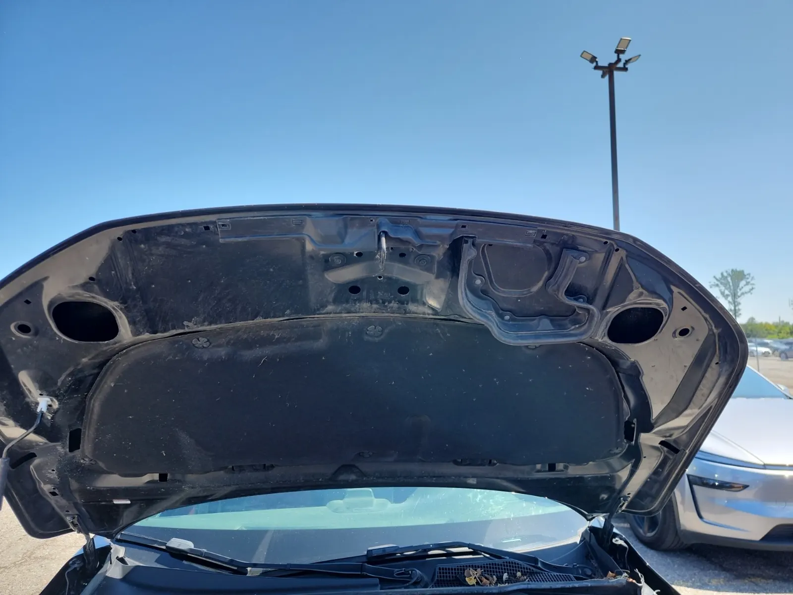 Emission Sticker Photo