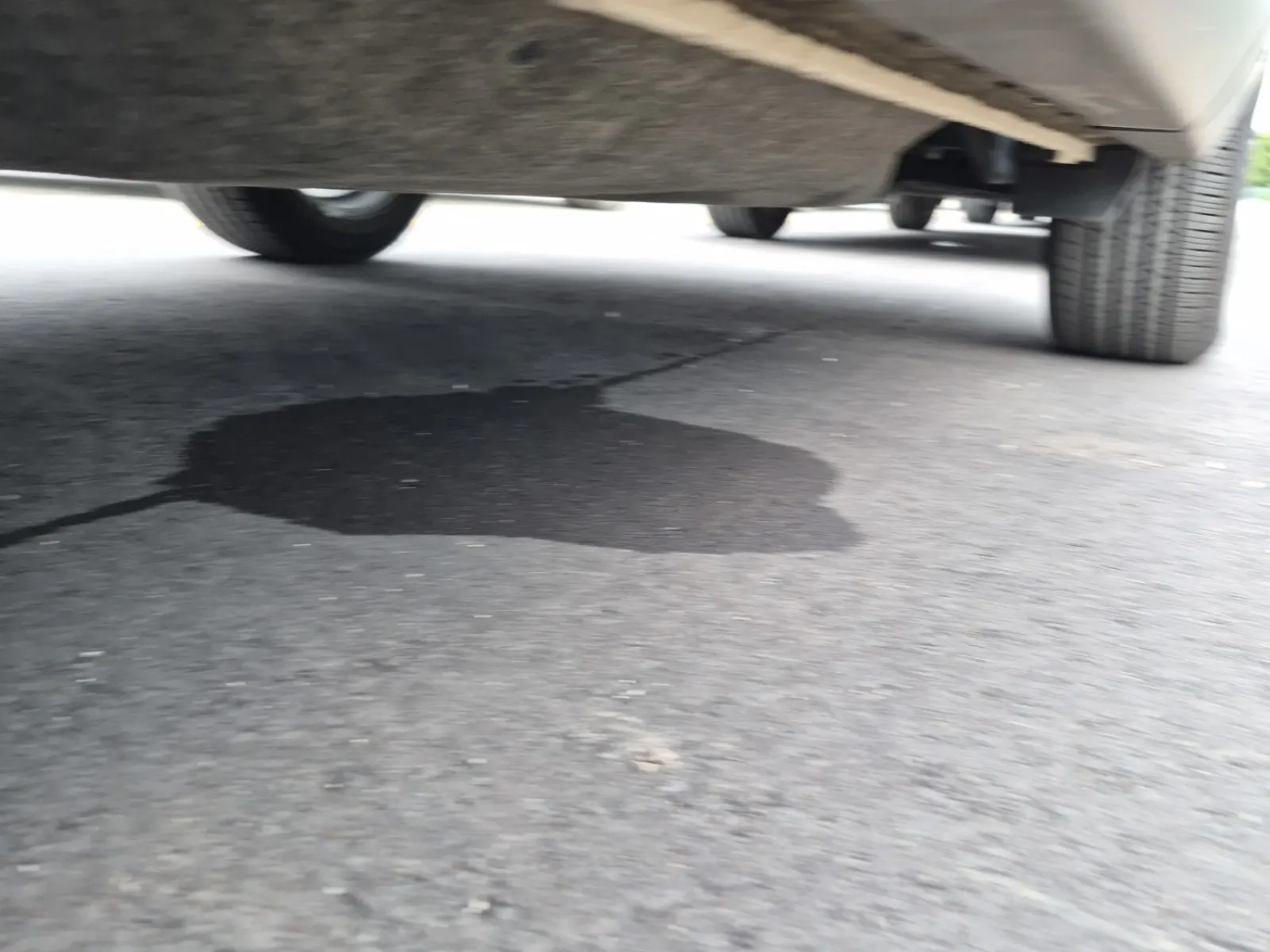 Undercarriage - Driver Photo