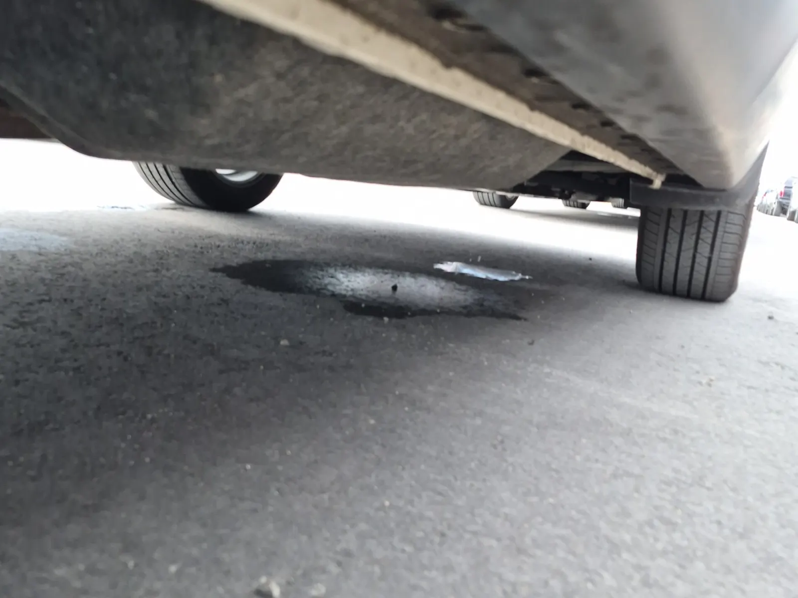 Undercarriage - Passenger Photo