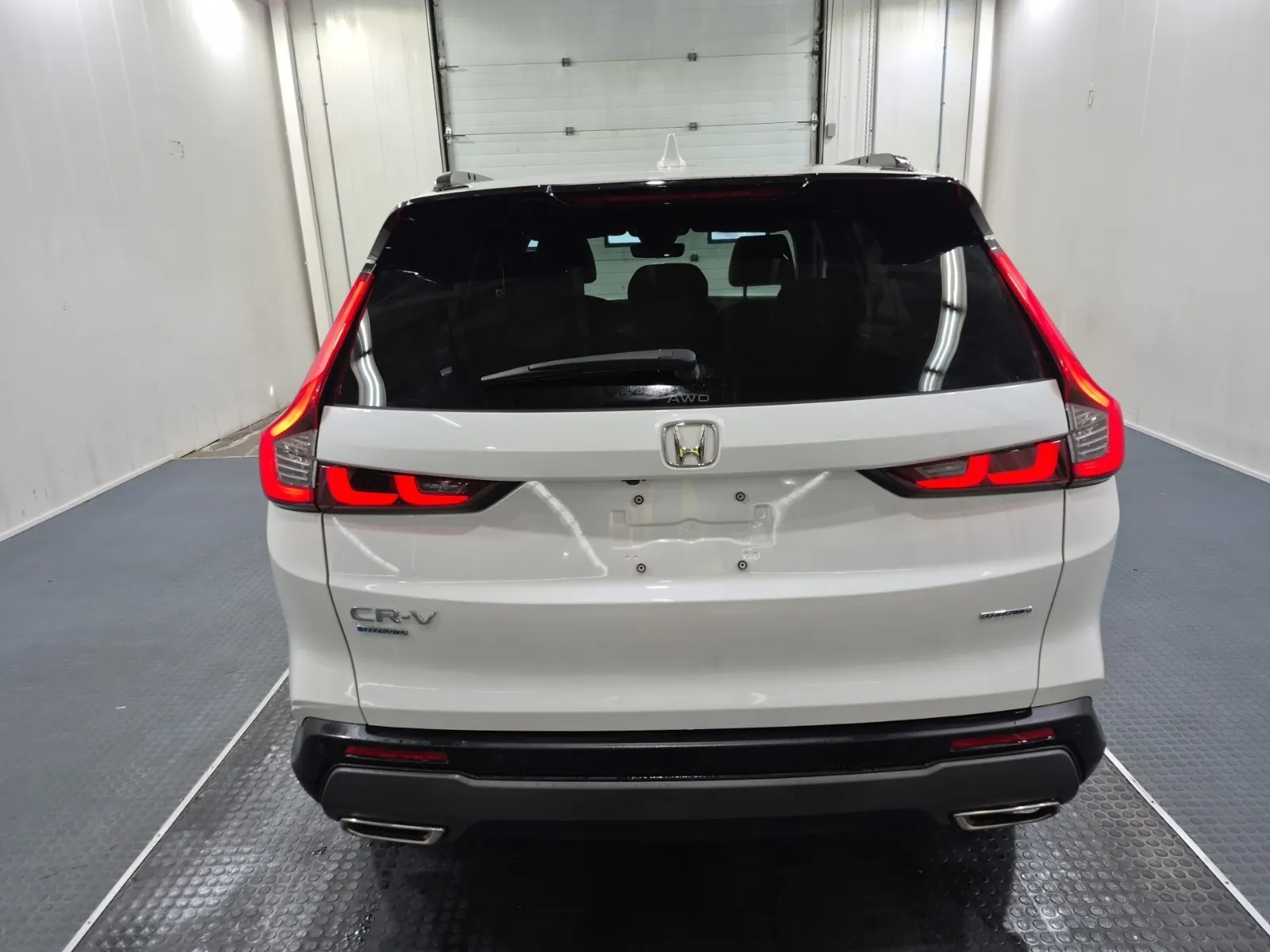 Full Rear Photo