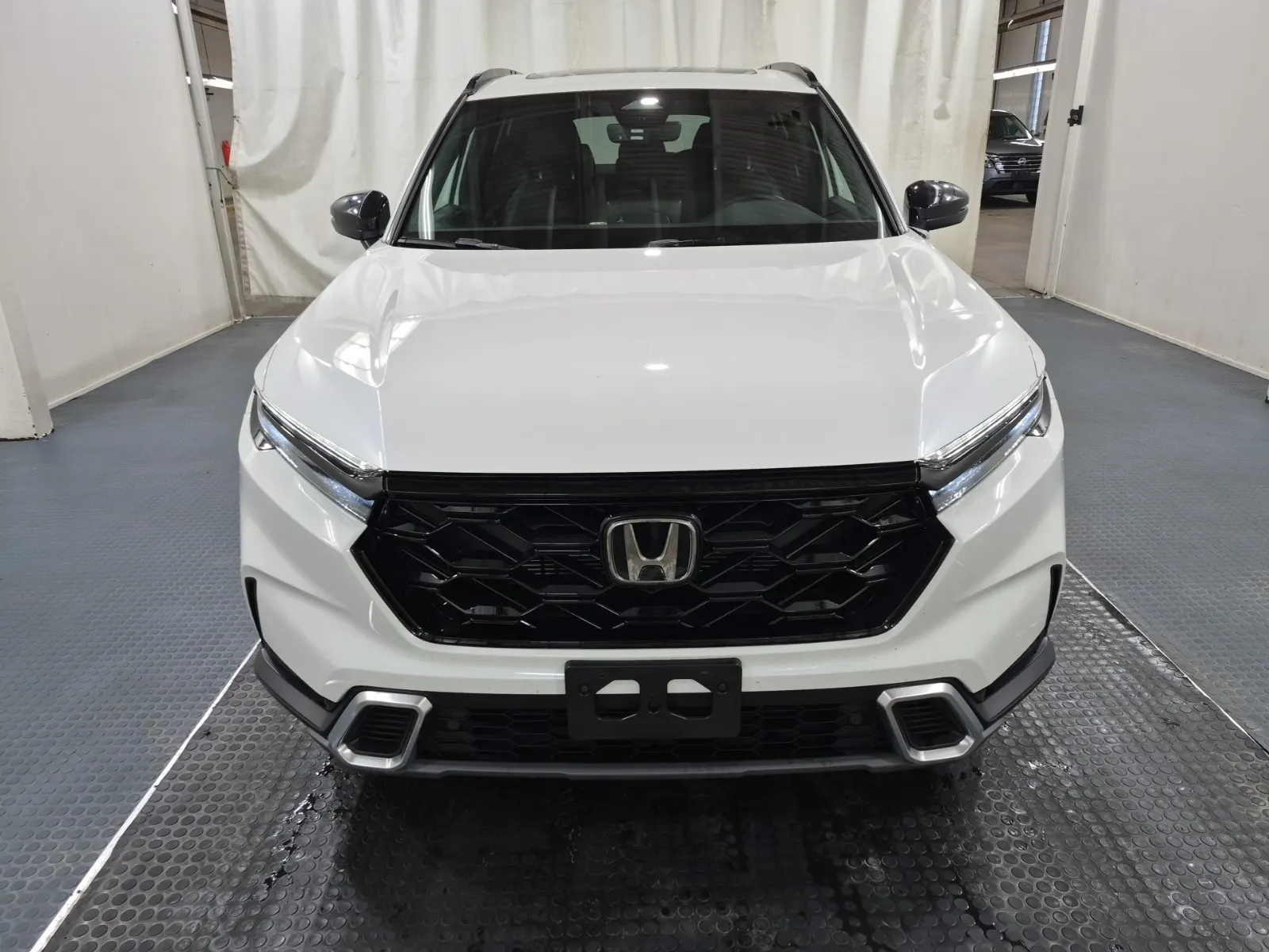 Full Front Photo