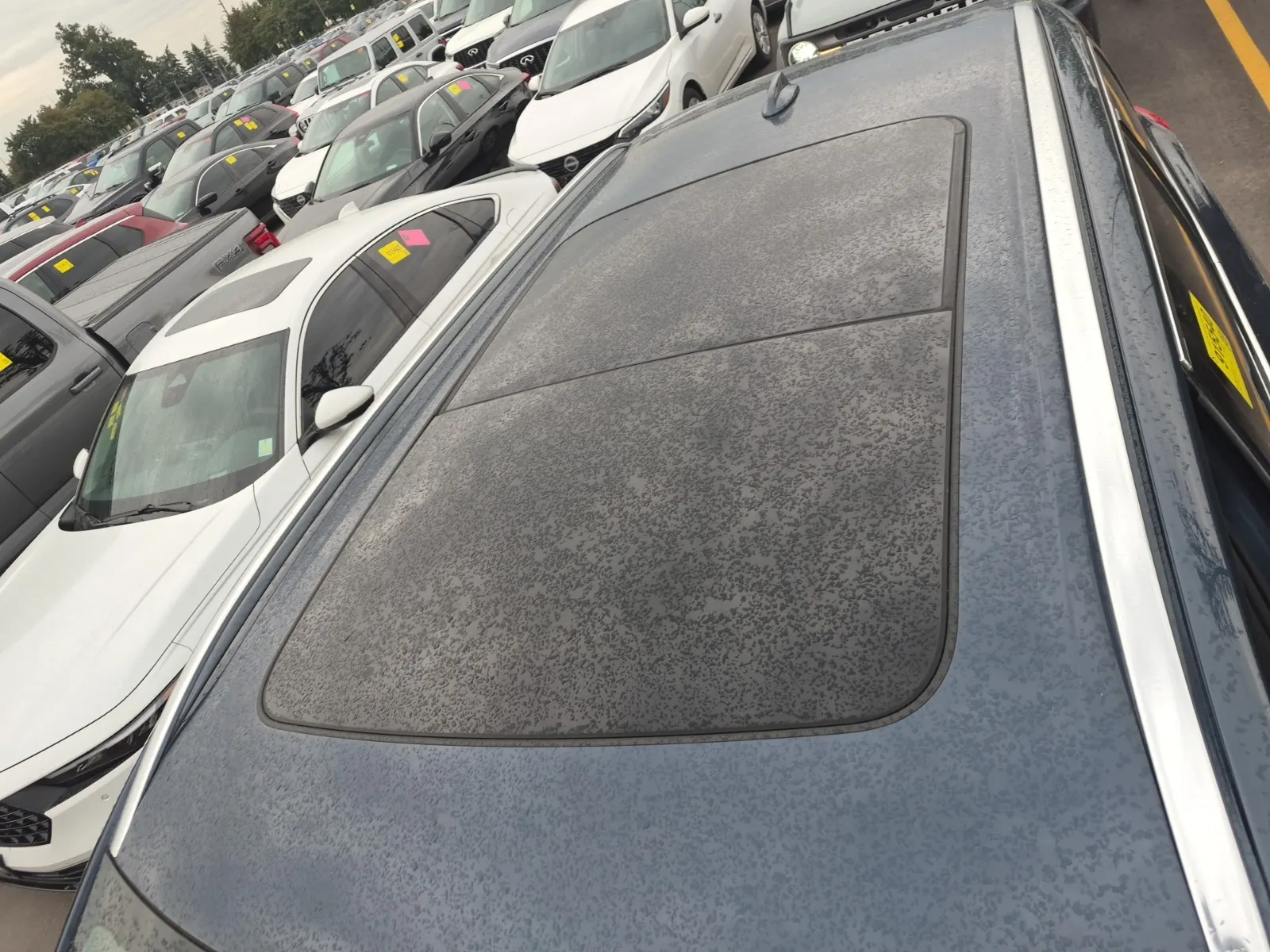 Exterior Roof Photo