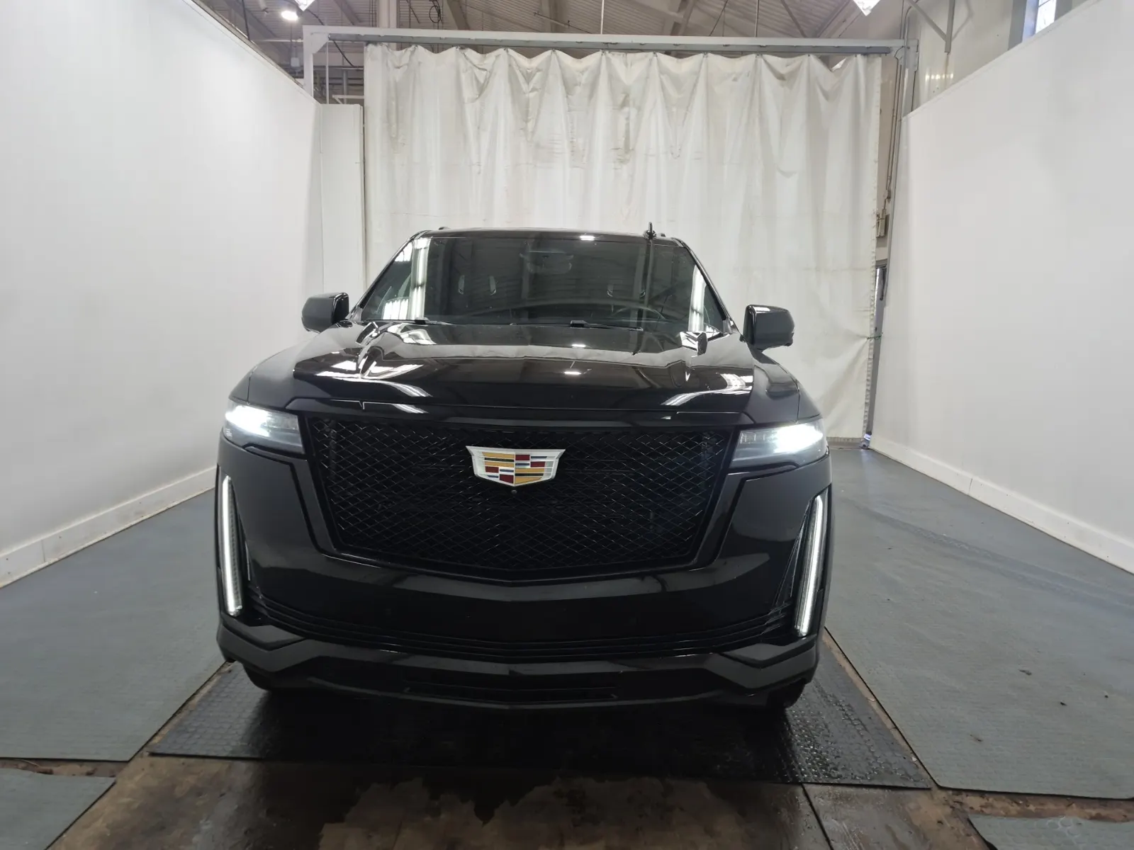 Full Front Photo