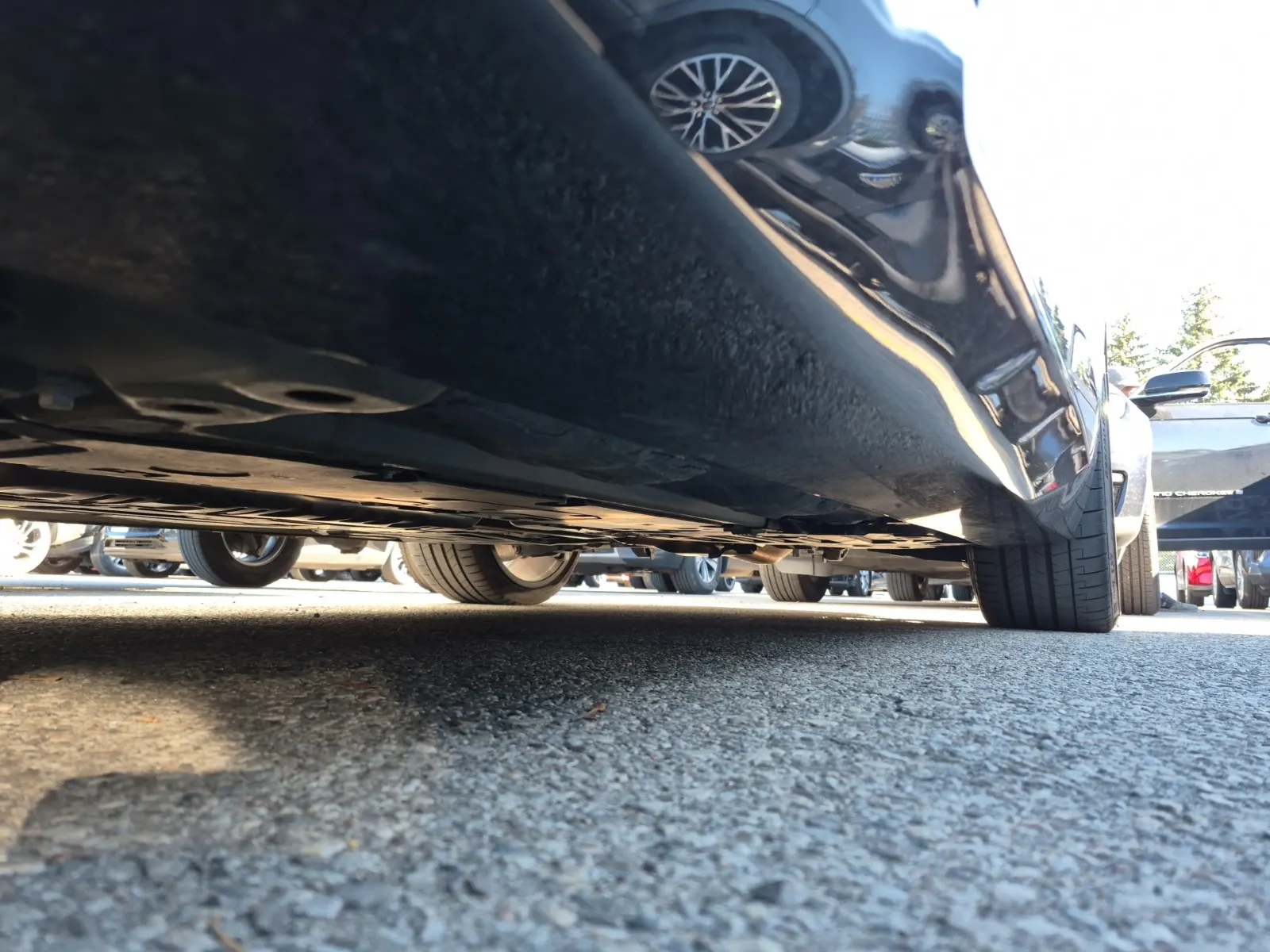 Undercarriage - Driver Photo