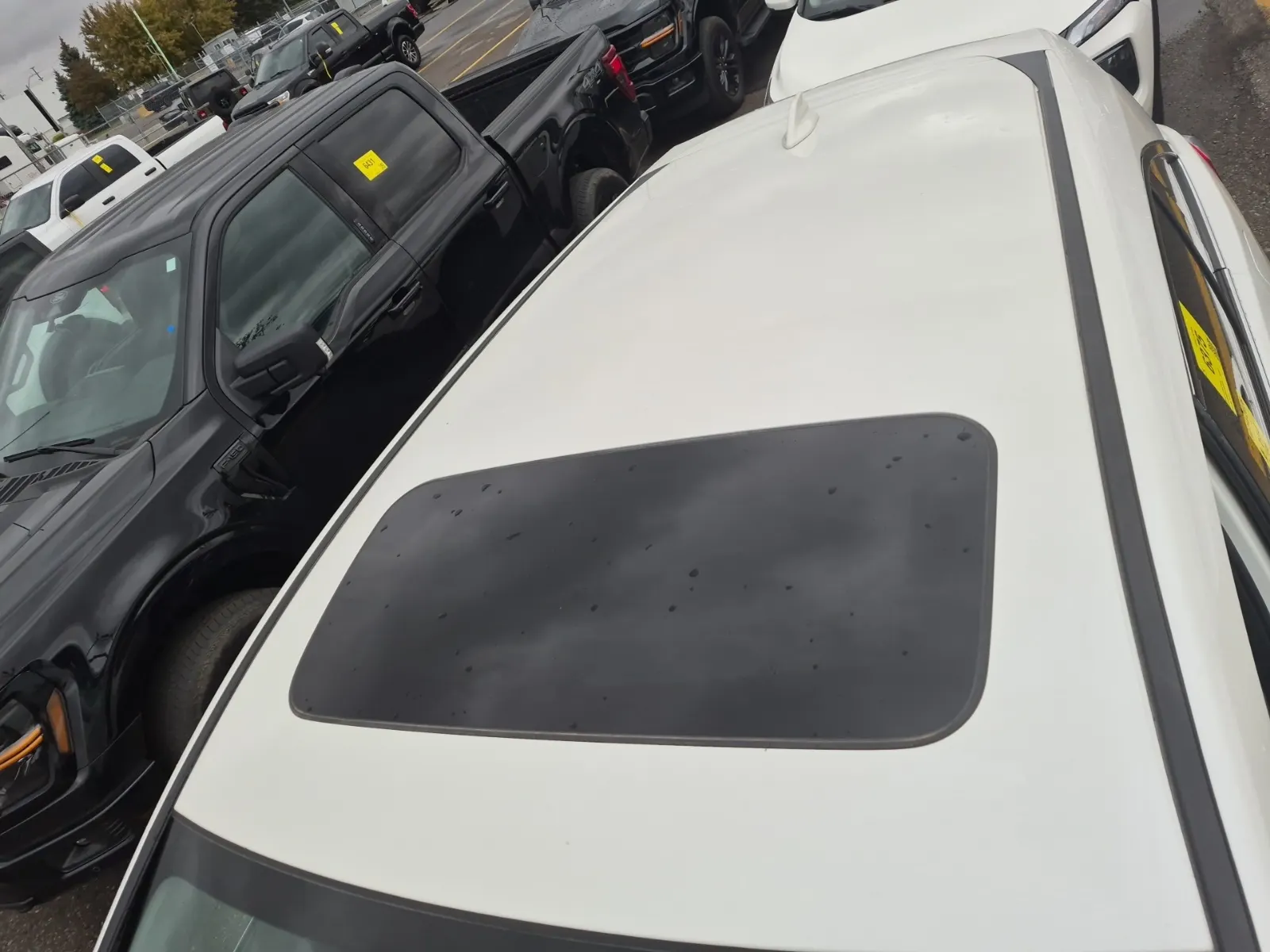 Exterior Roof Photo
