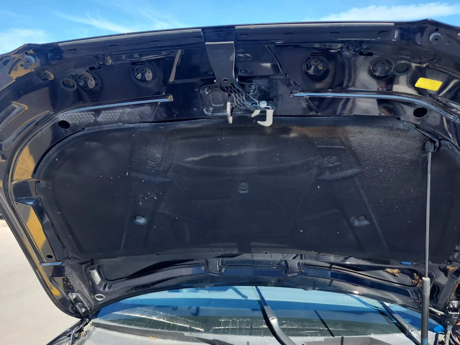 Emission Sticker Photo