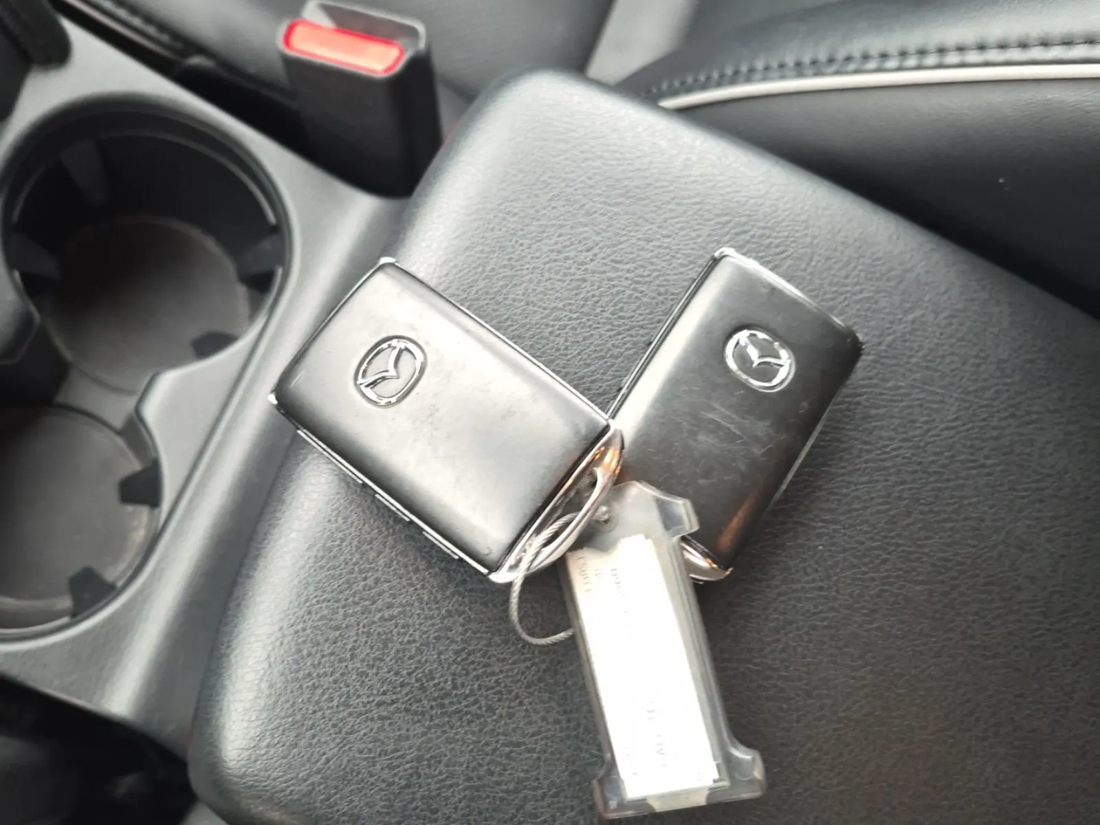 Keys/Fobs/Manual Photo
