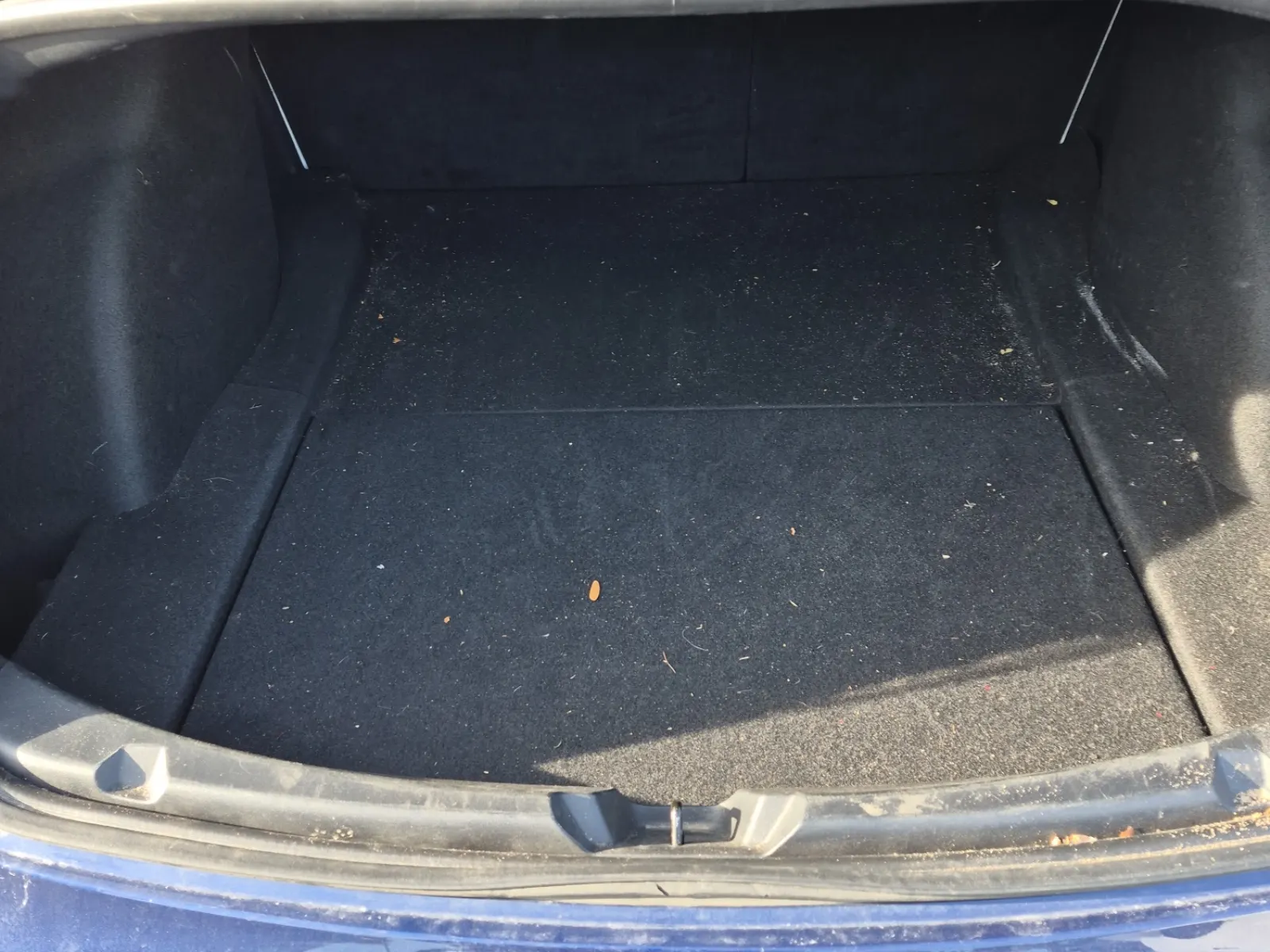 Cargo Area Photo