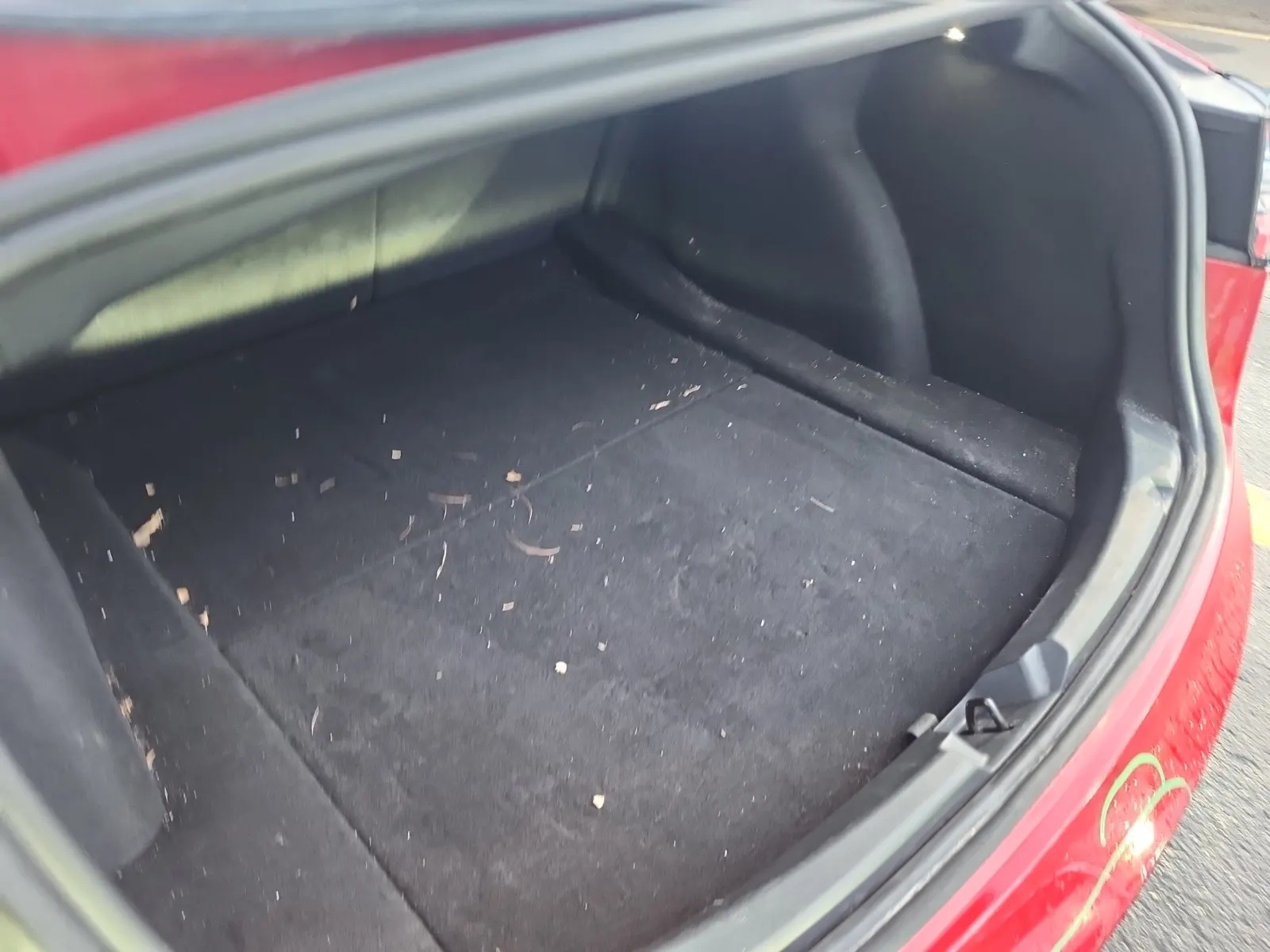 Cargo Area Photo