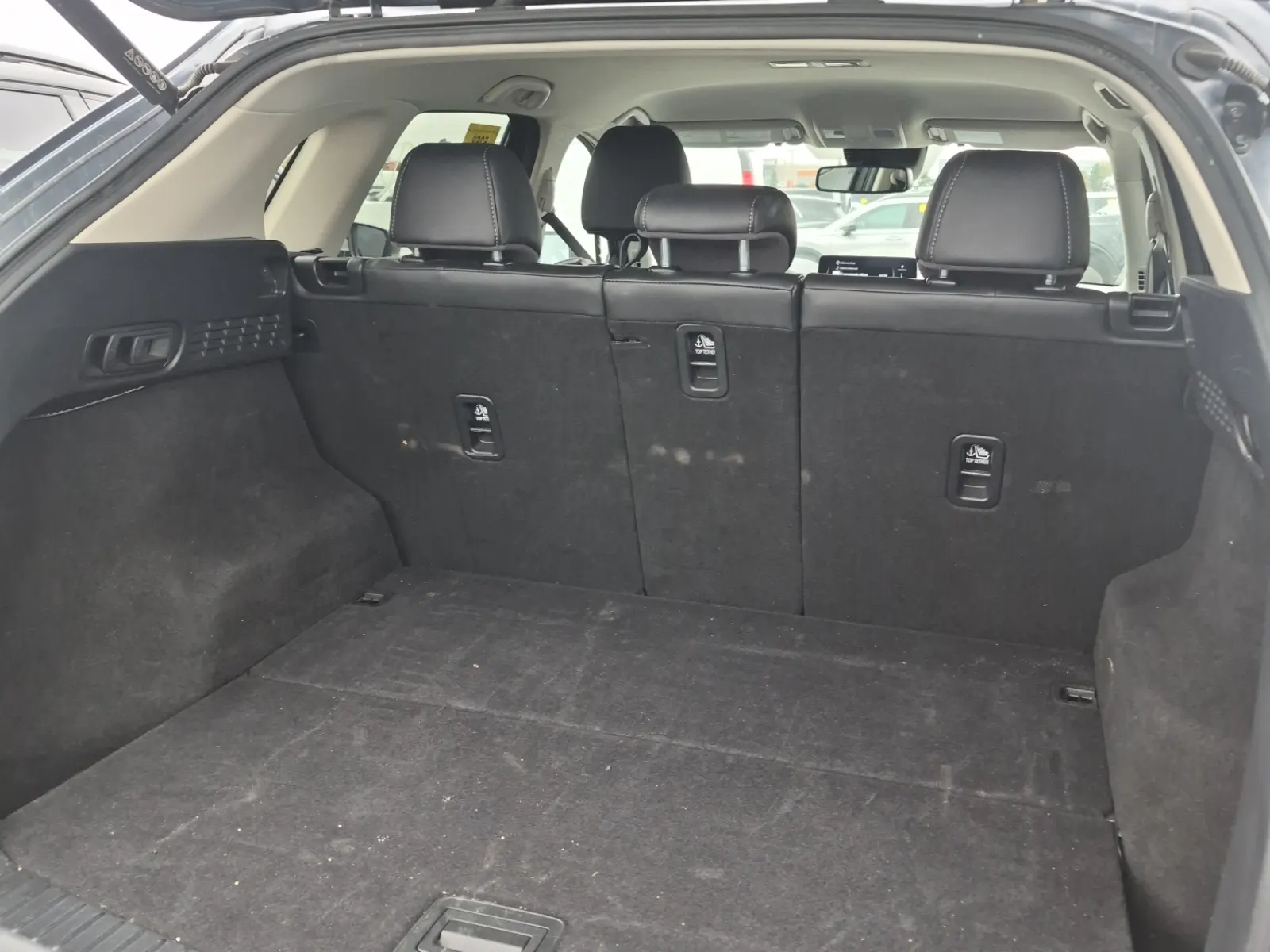 Cargo Area Photo