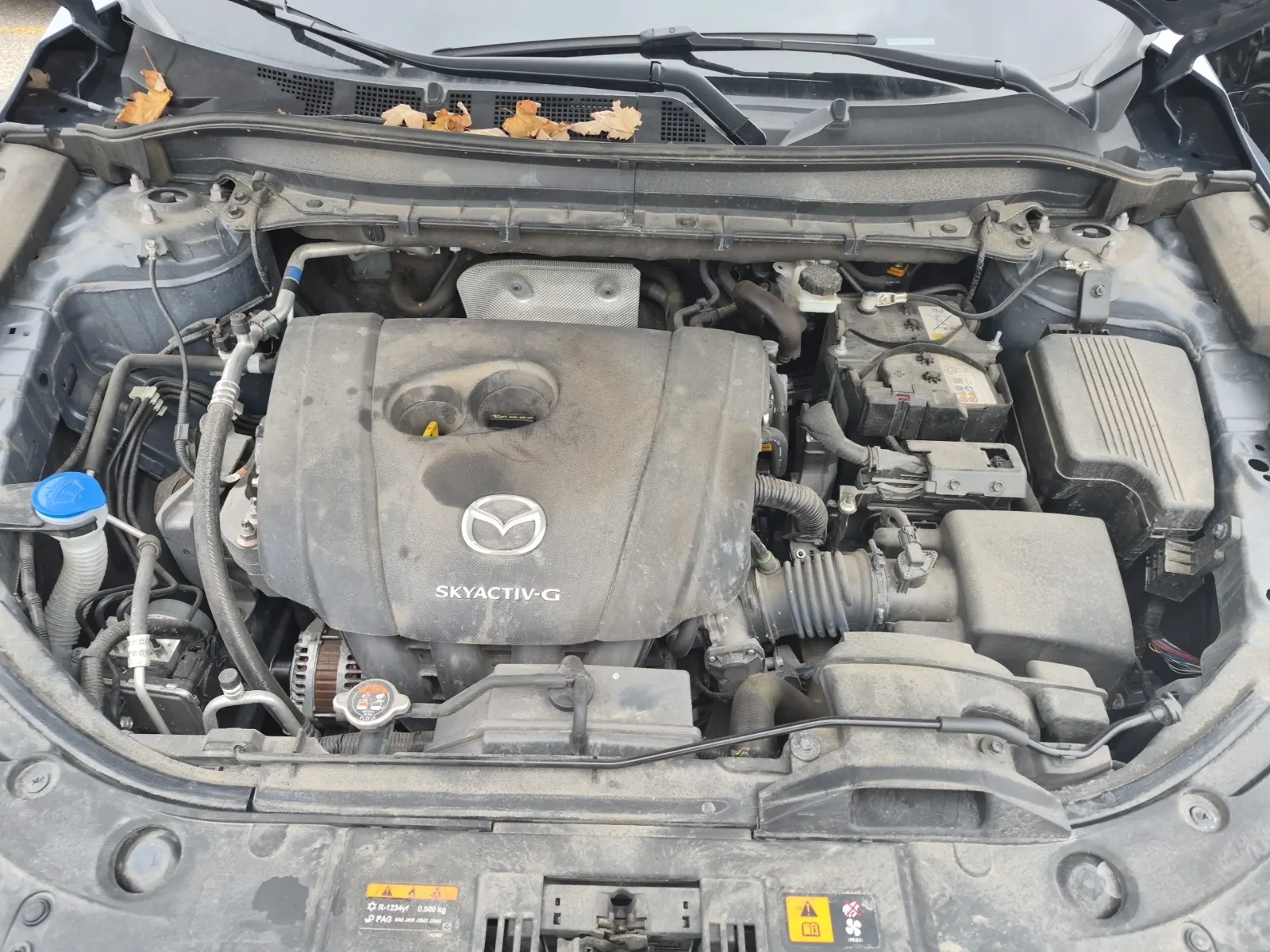 Engine Photo