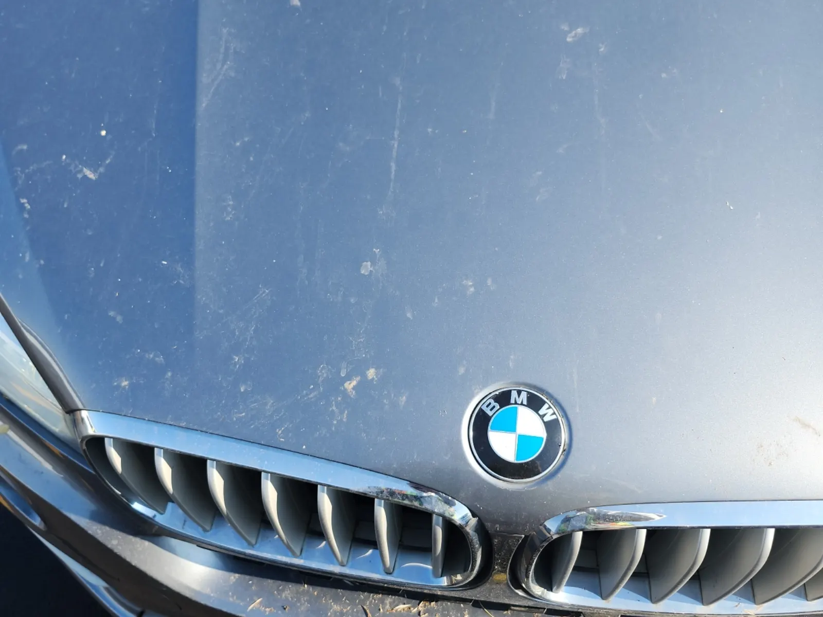 Emission Sticker Photo