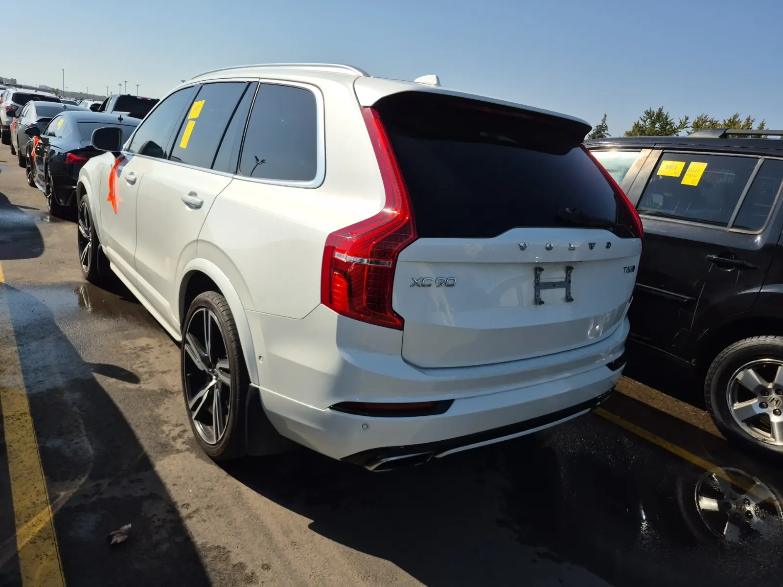 Driver Rear 3/4 Photo