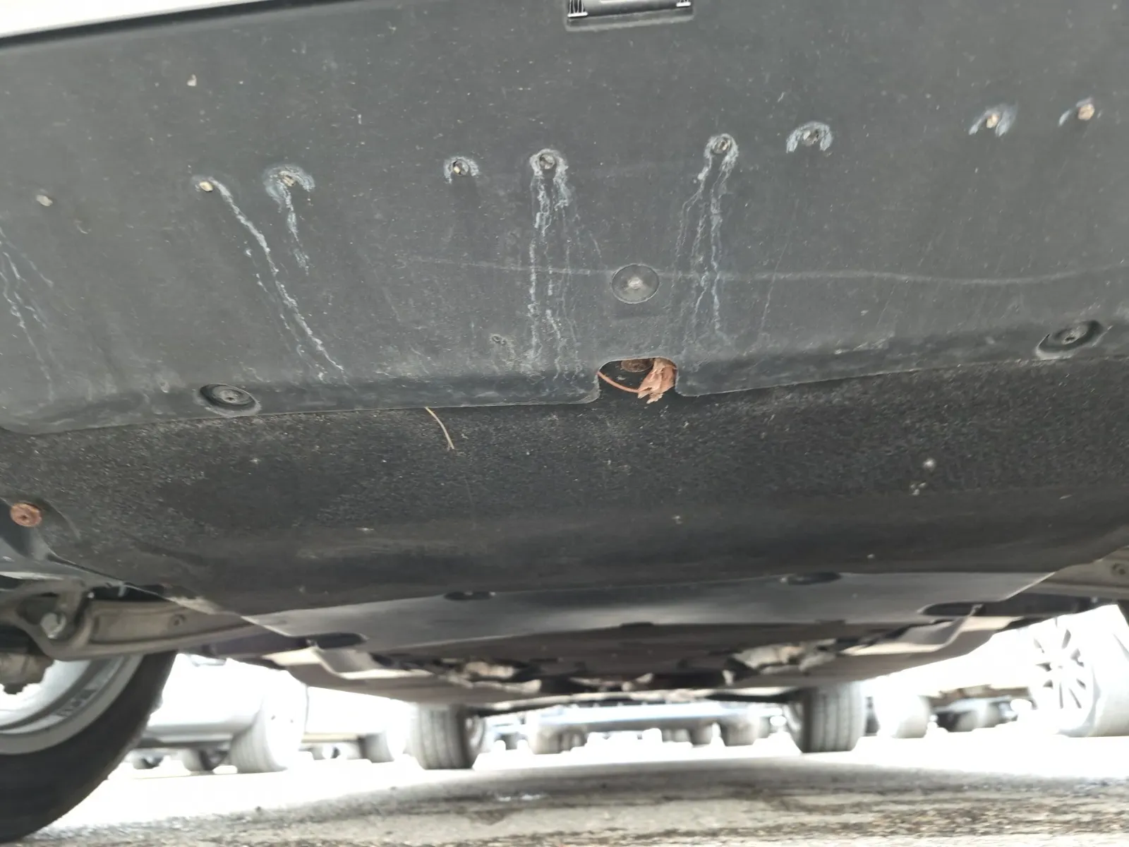 Undercarriage - Front Photo