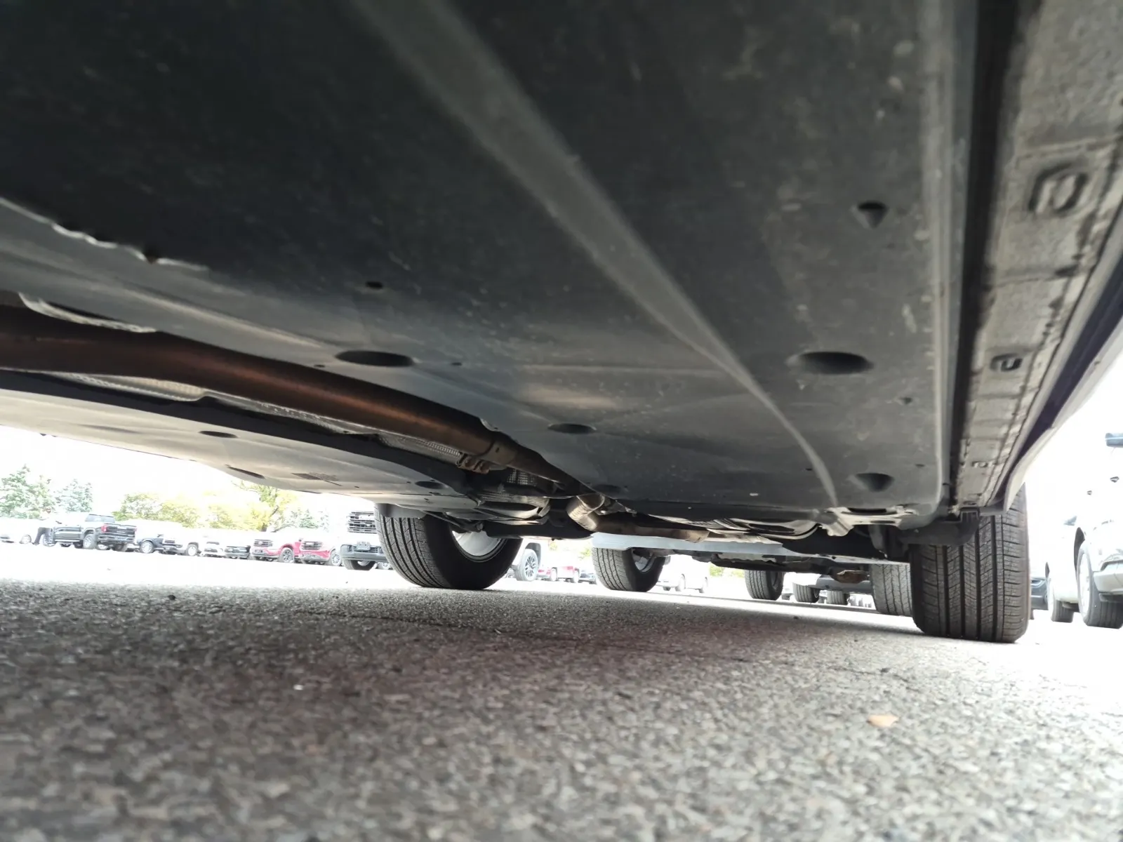 Undercarriage - Driver Photo