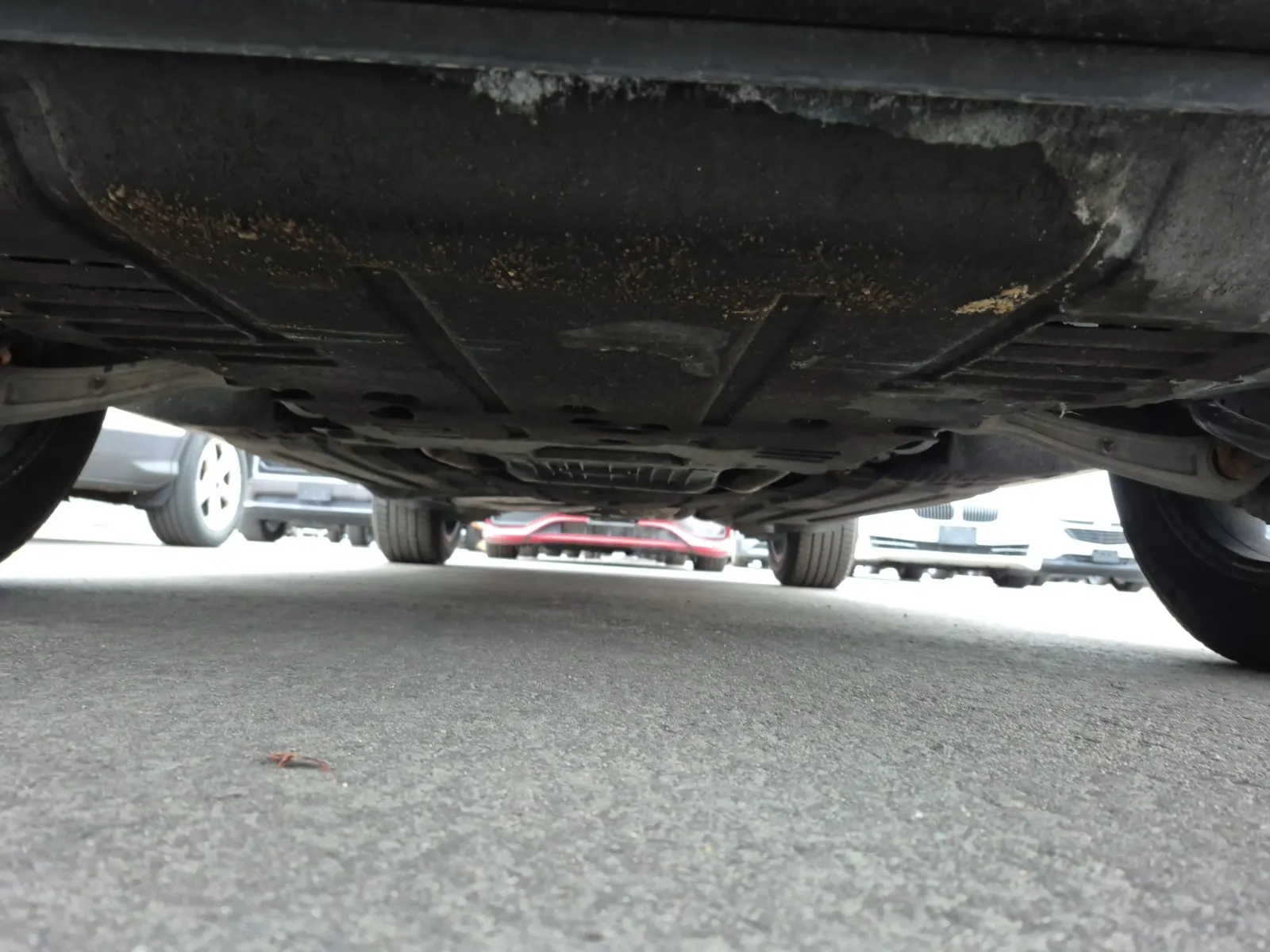 Undercarriage - Front Photo