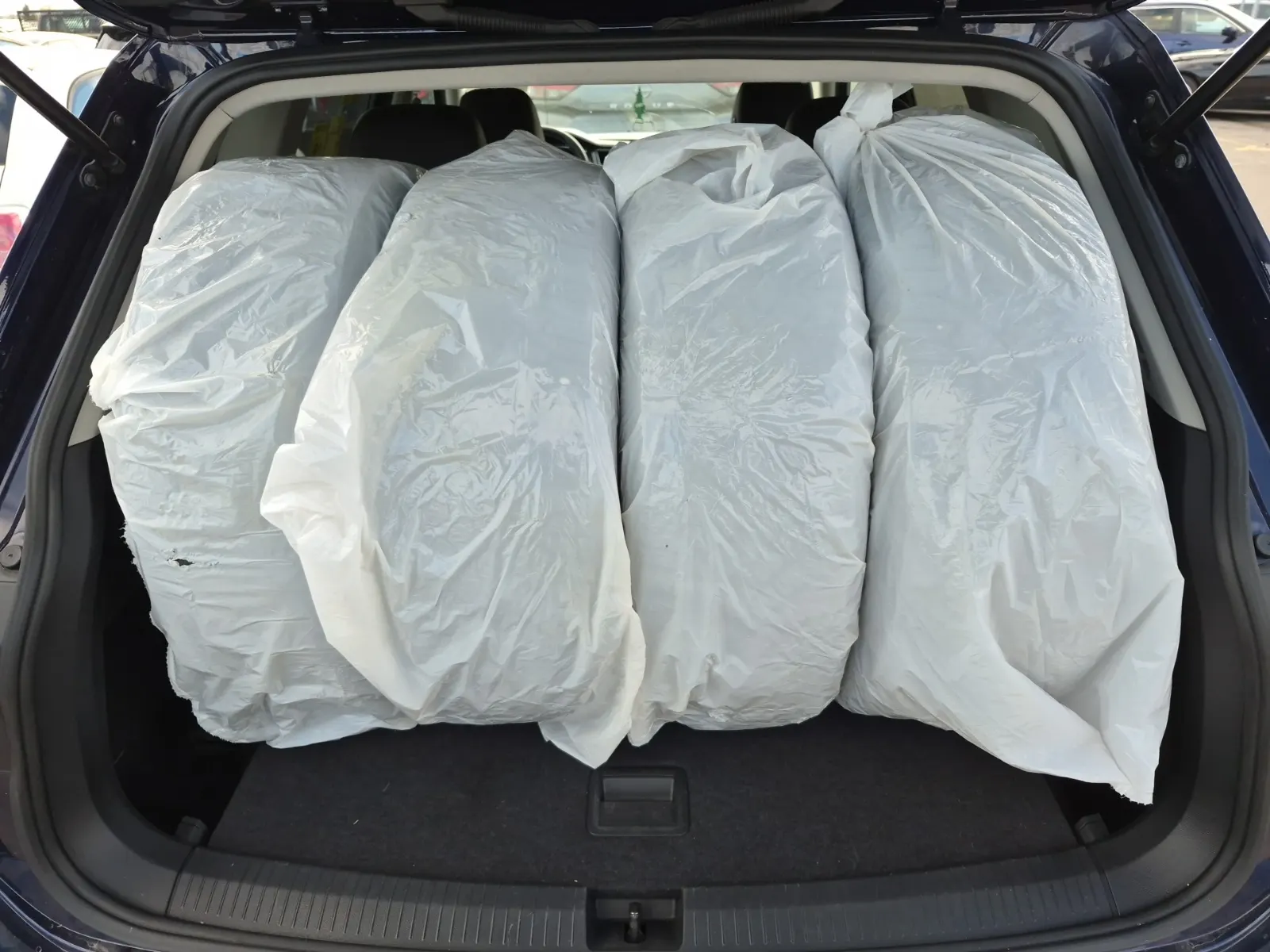 Cargo Area Photo