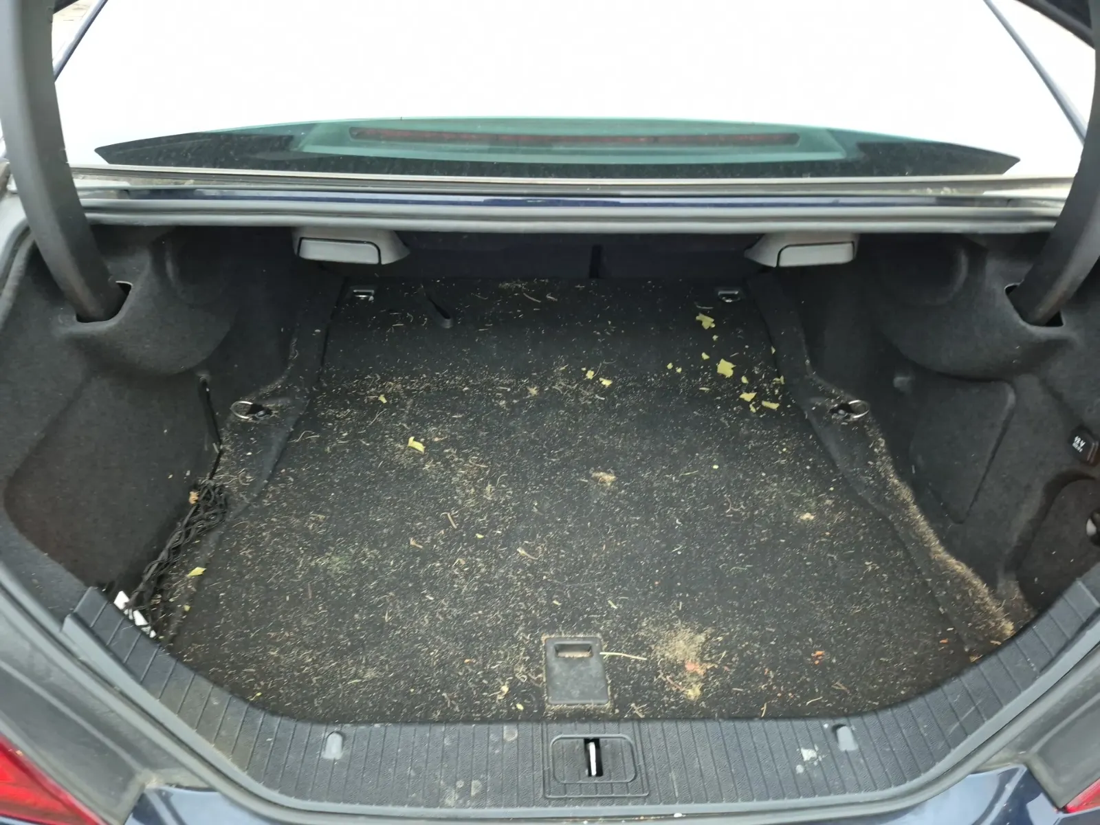 Cargo Area Photo