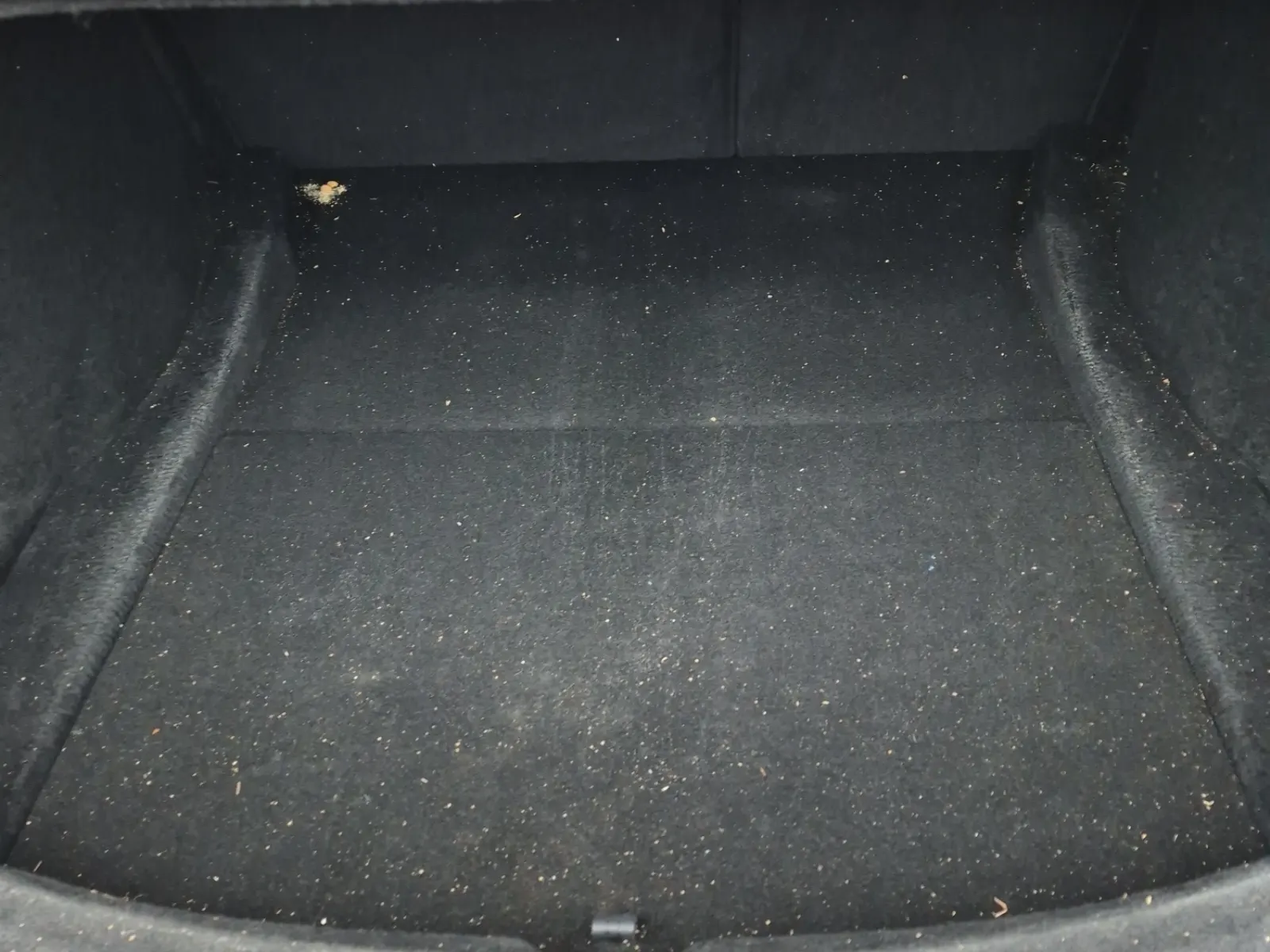 Cargo Area Photo
