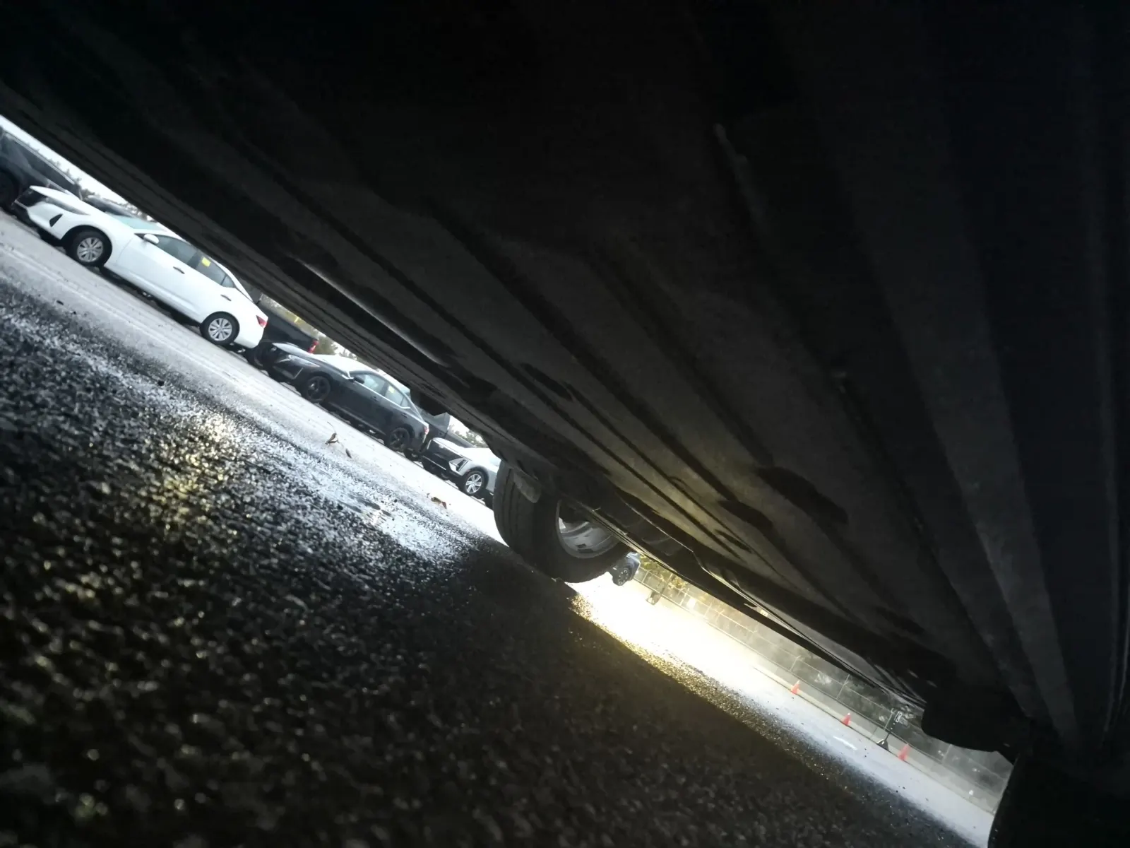 Undercarriage - Driver Photo