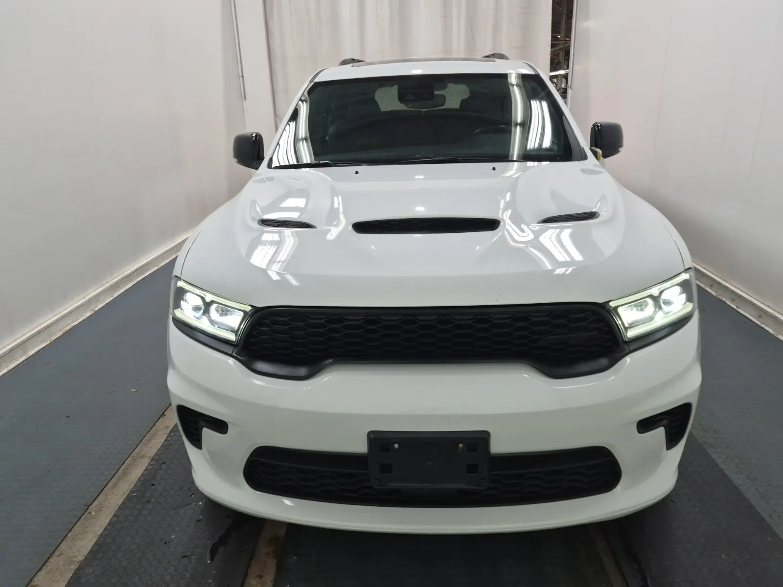 Full Front Photo