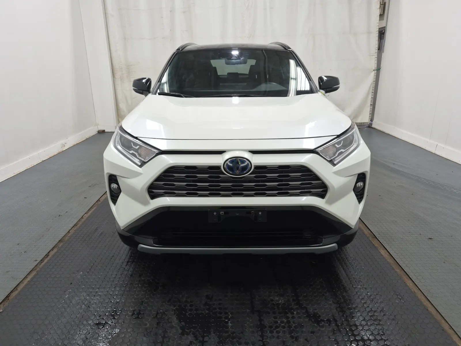 Full Front Photo