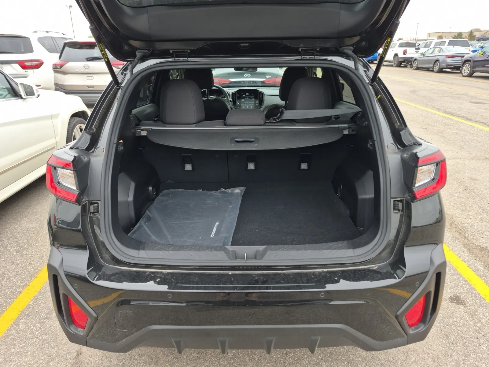 Cargo Area Photo