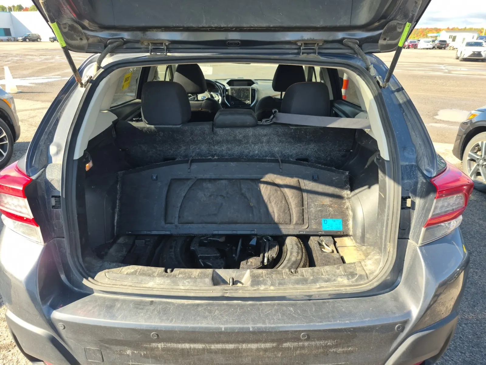 Cargo Area Photo