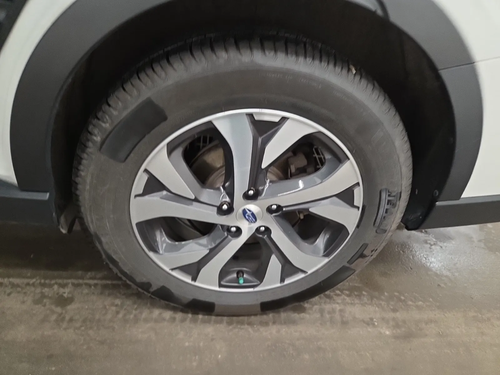 Left Rear Wheel/Tire Photo