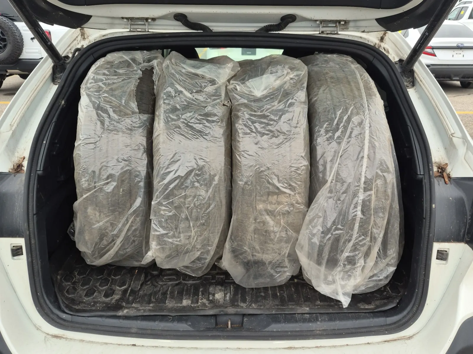 Cargo Area Photo