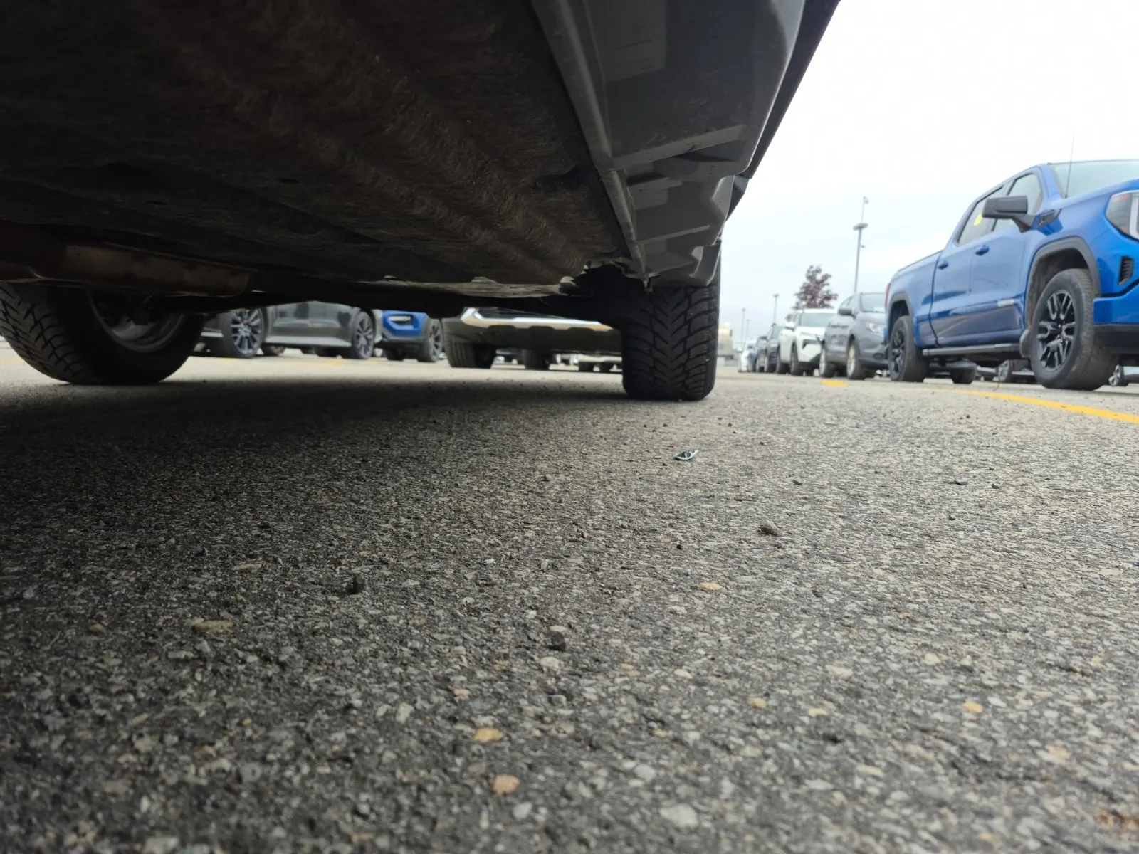 Undercarriage - Driver Photo