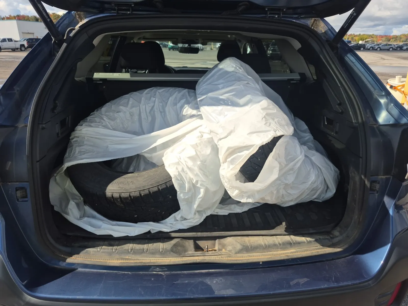 Cargo Area Photo