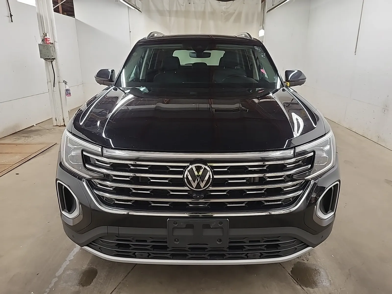 Full Front Photo