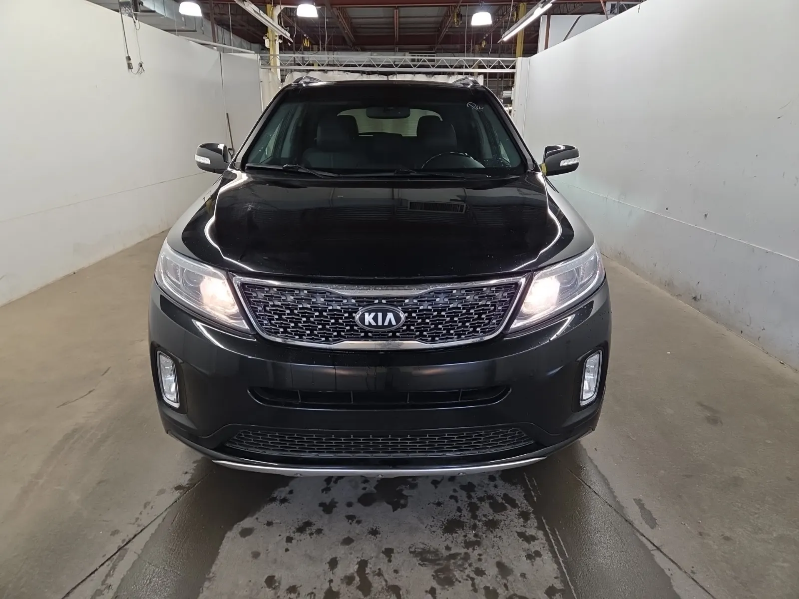 Full Front Photo