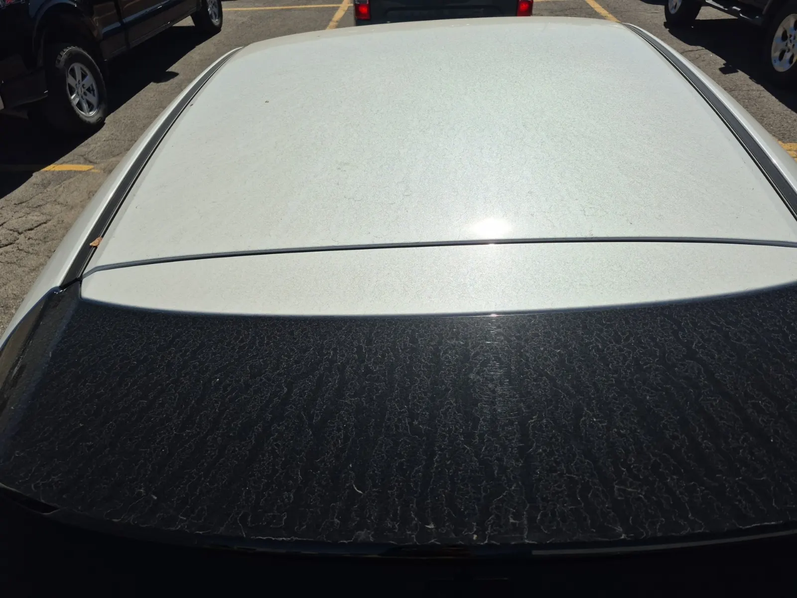 Exterior Roof Photo